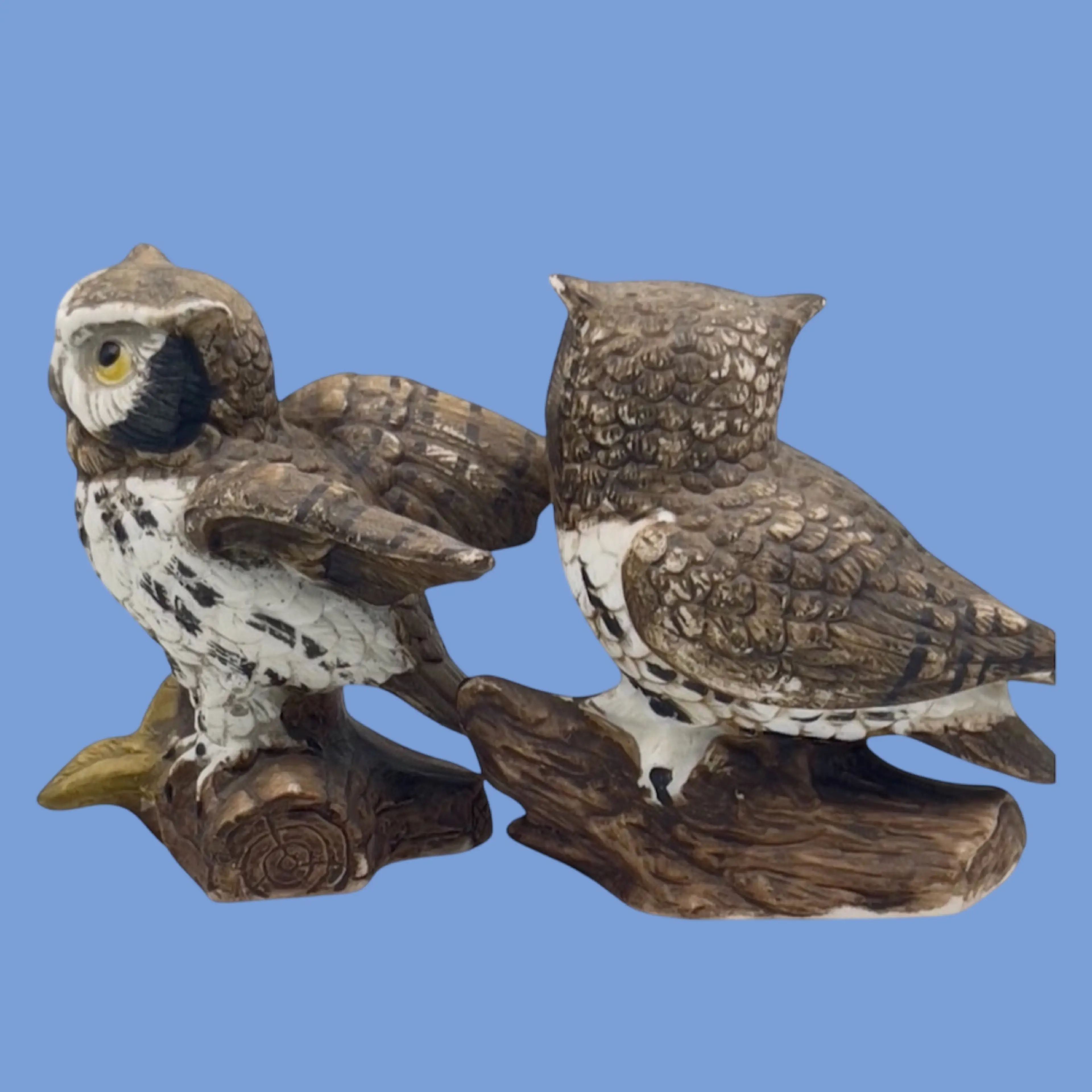 Image 3 of 6