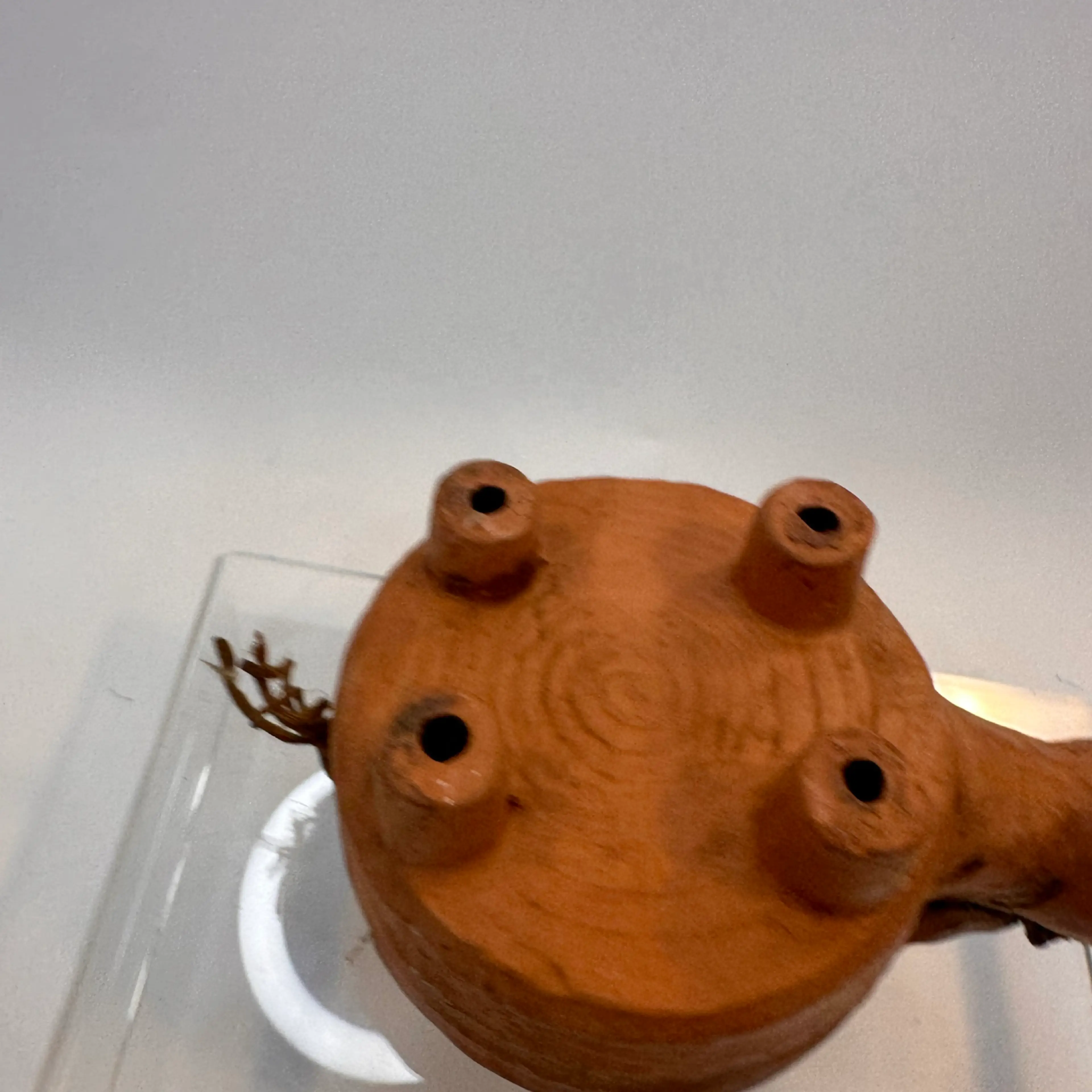 Image 2 of 5