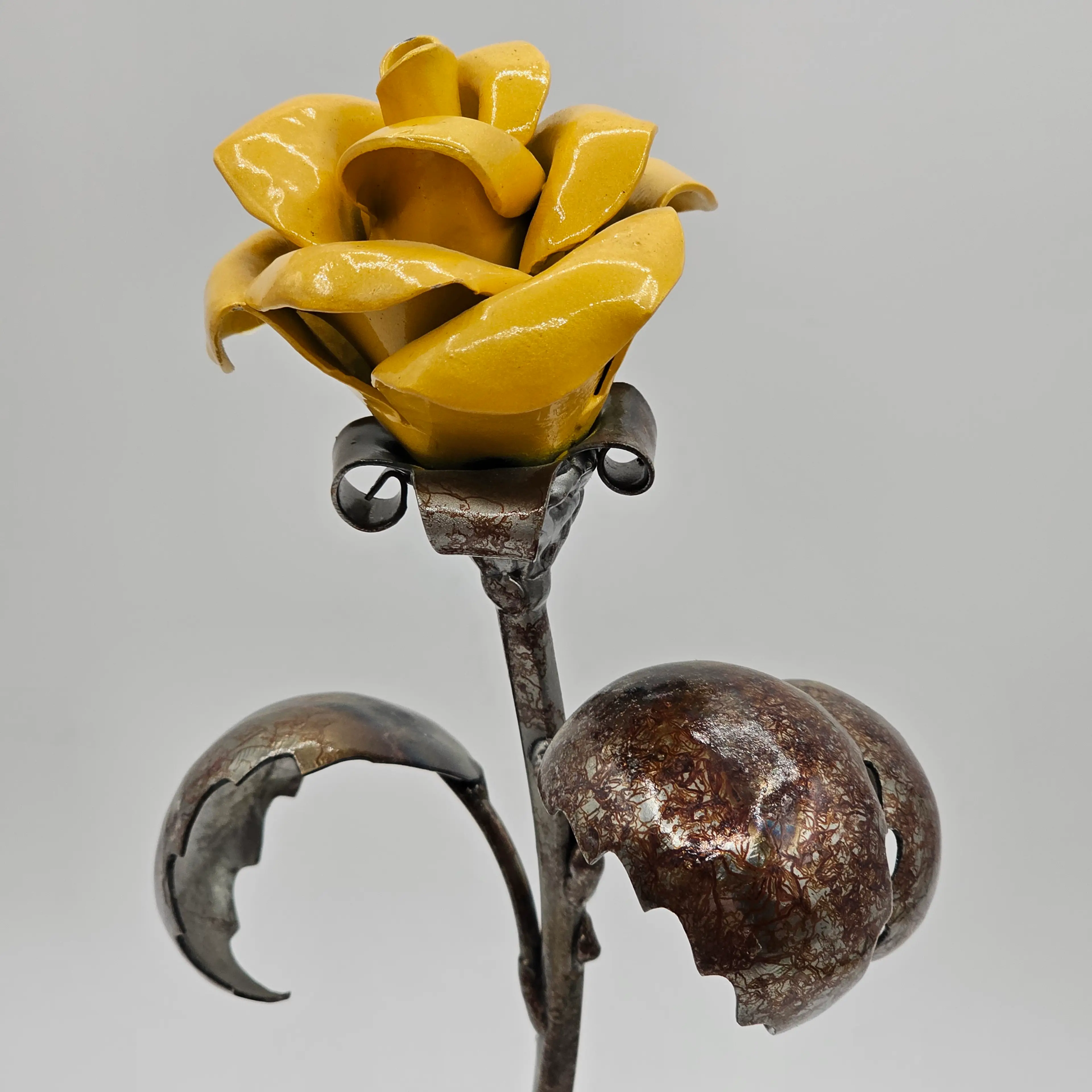 Image 2 of 10