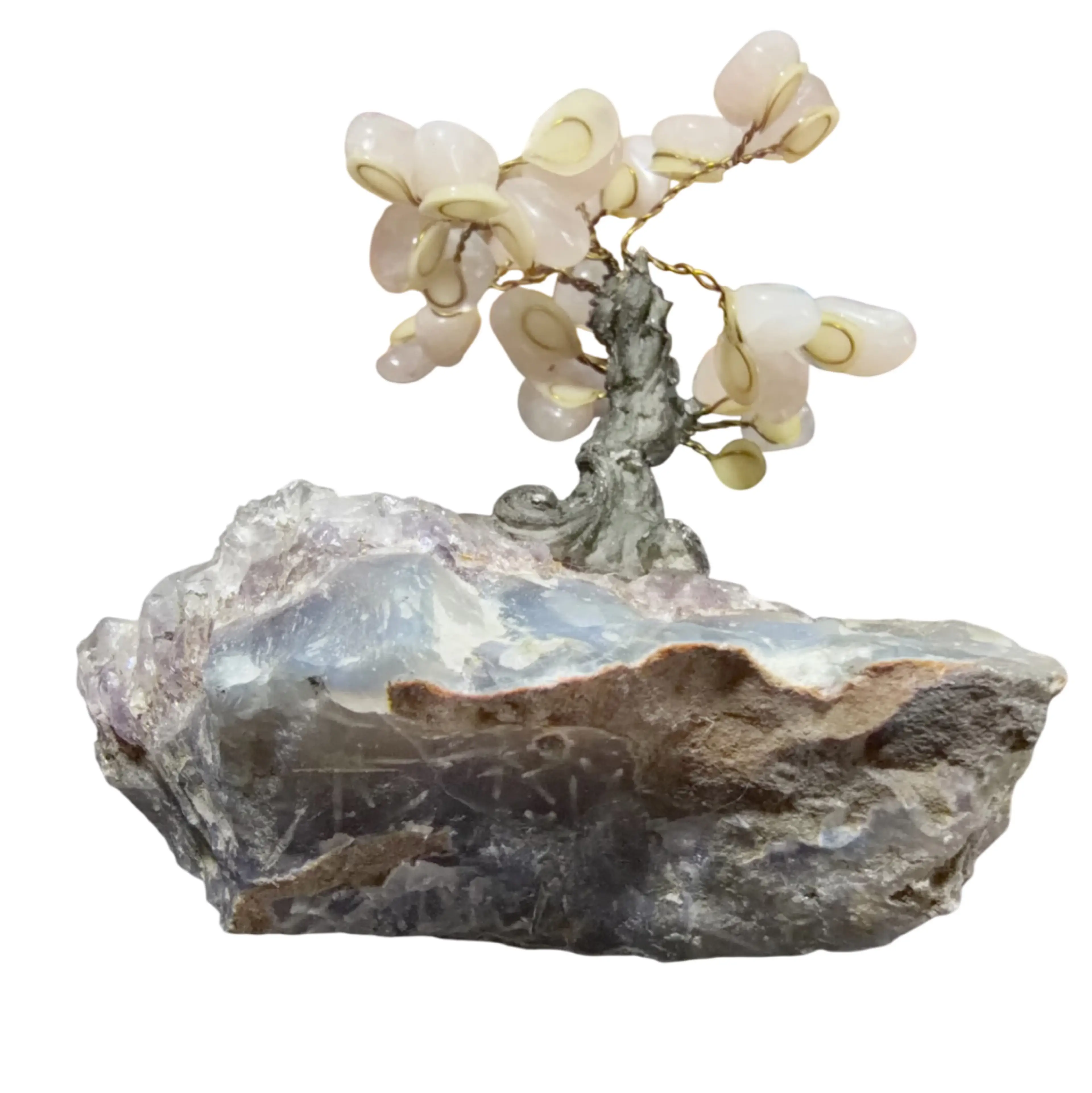 Image 5 of 5