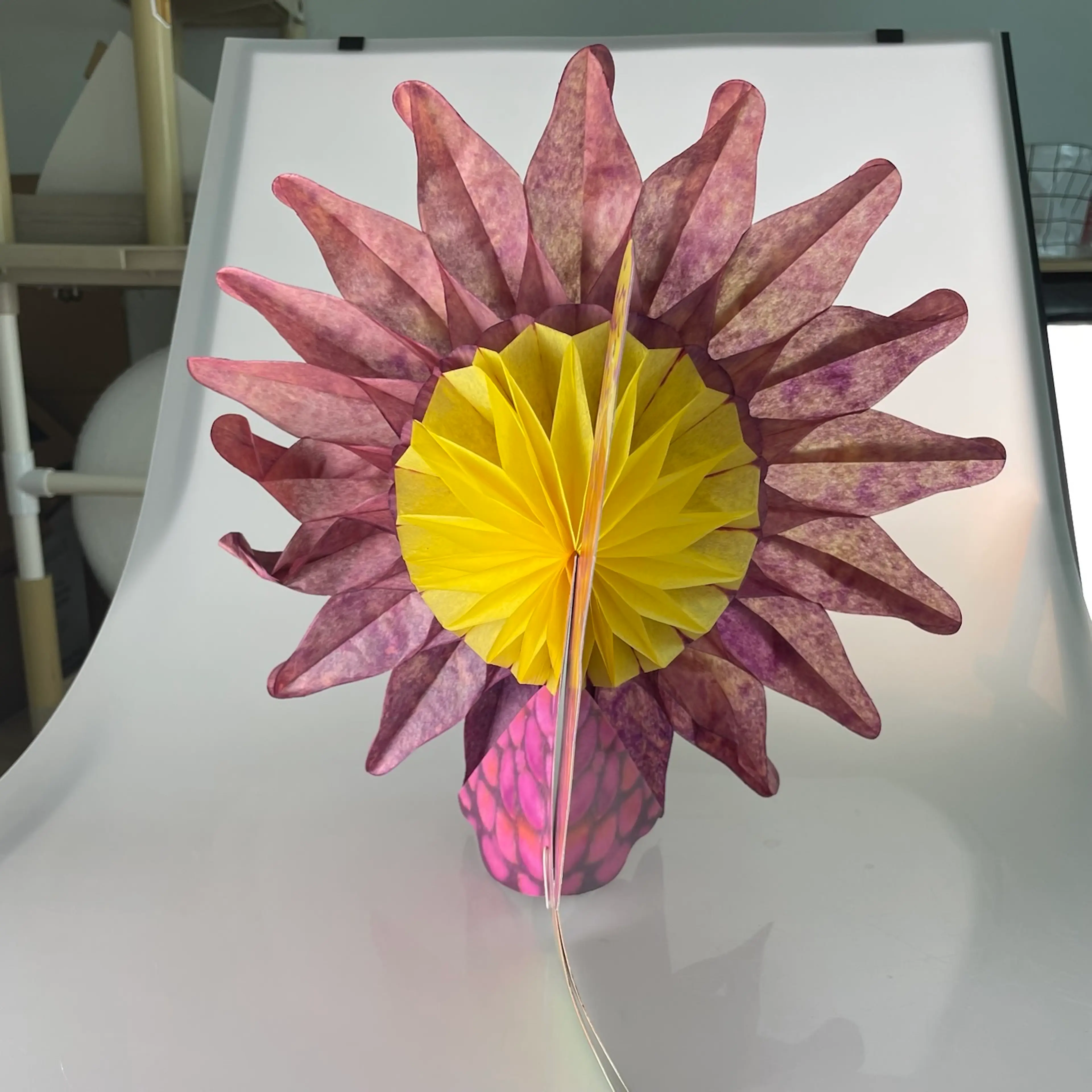 Image 2 of 12