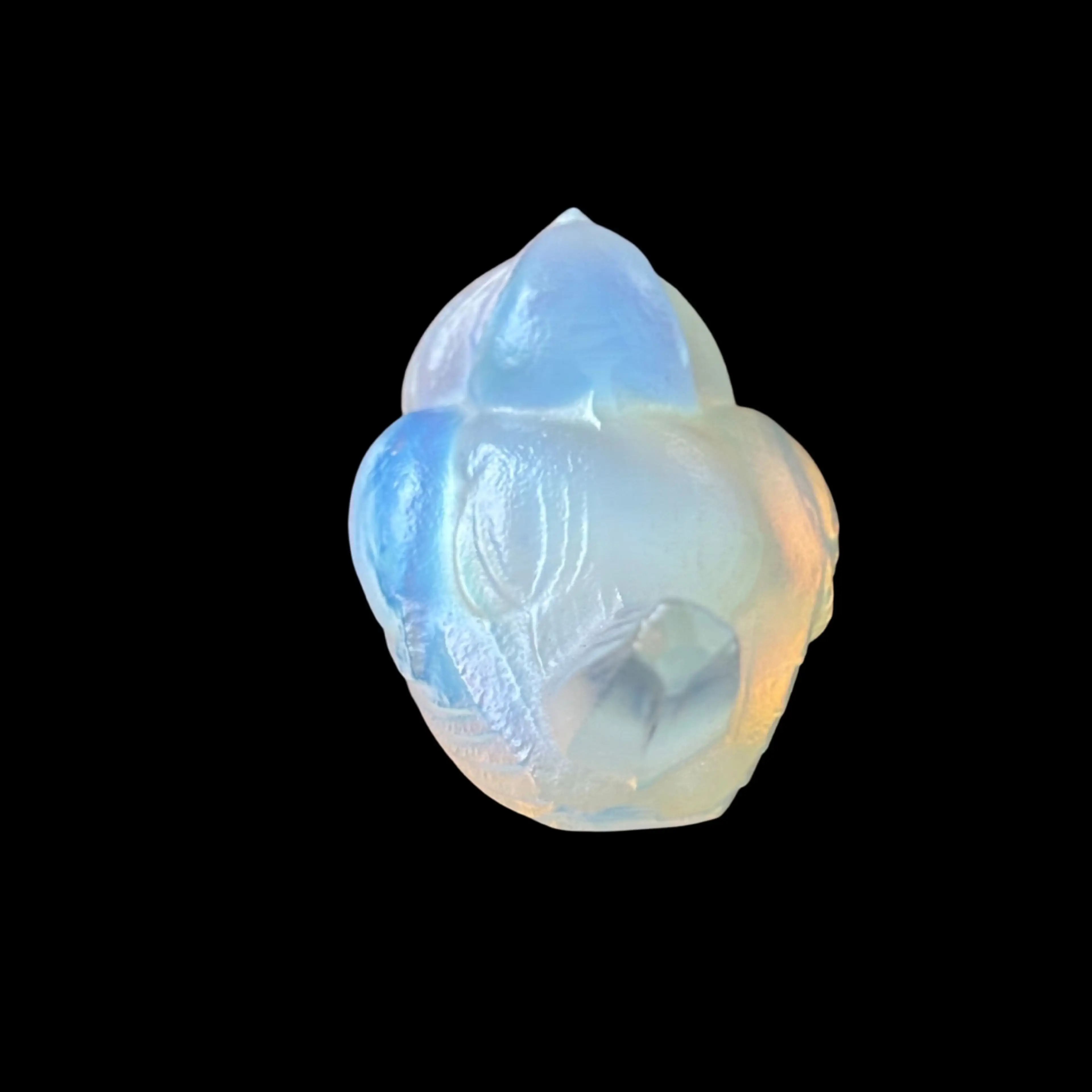 Image 3 of 5