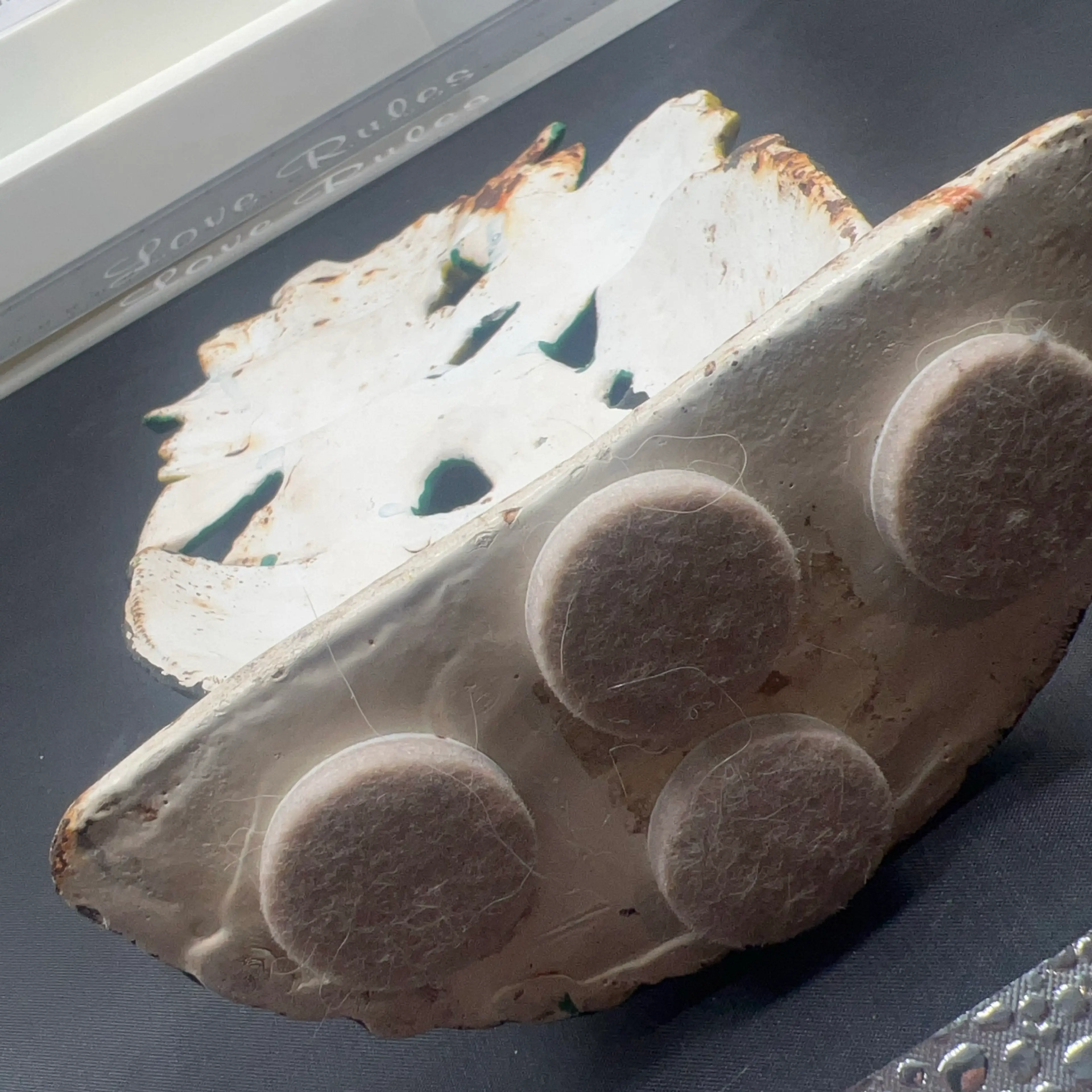 Image 5 of 12
