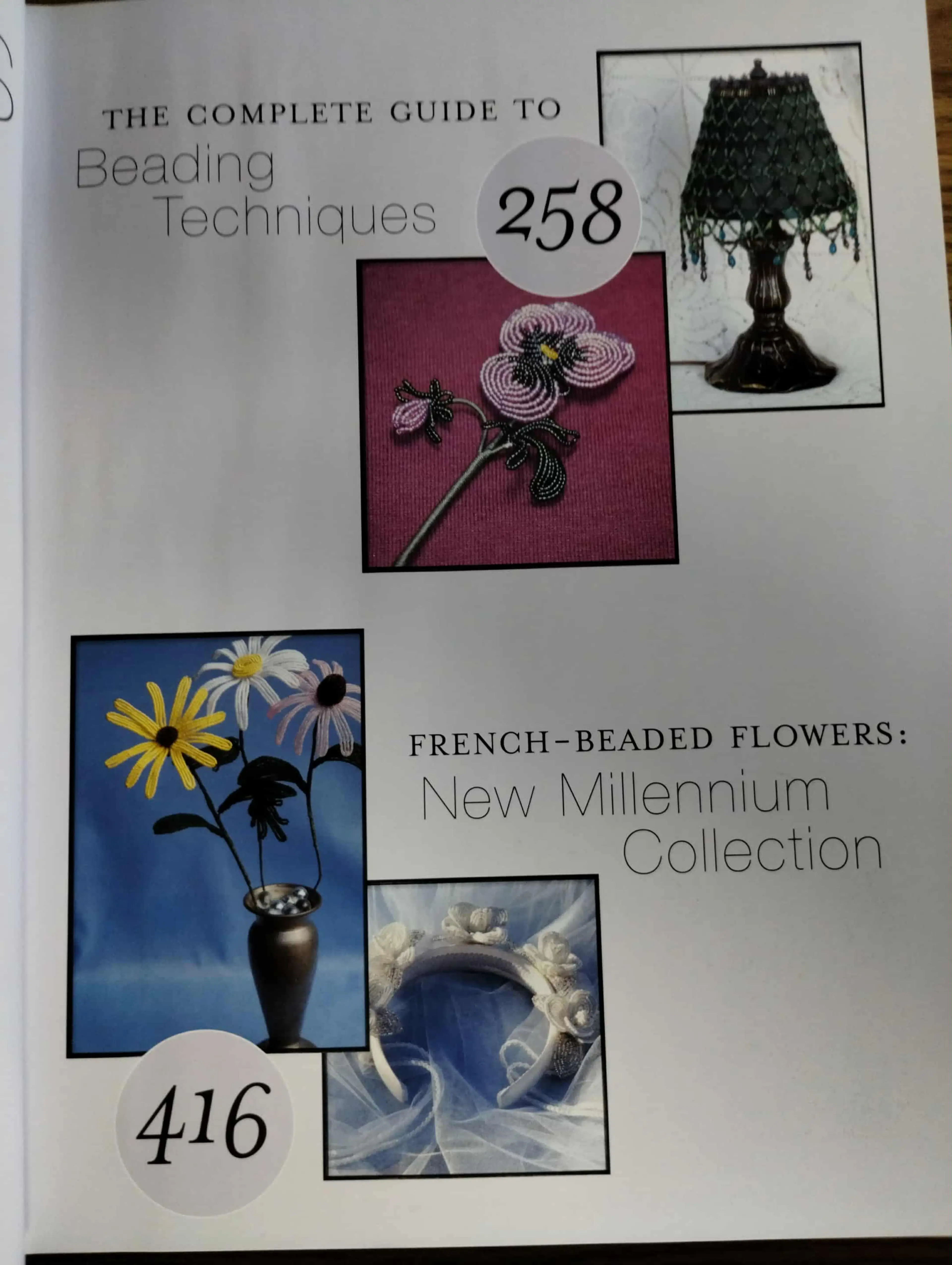 Image 4 of 12