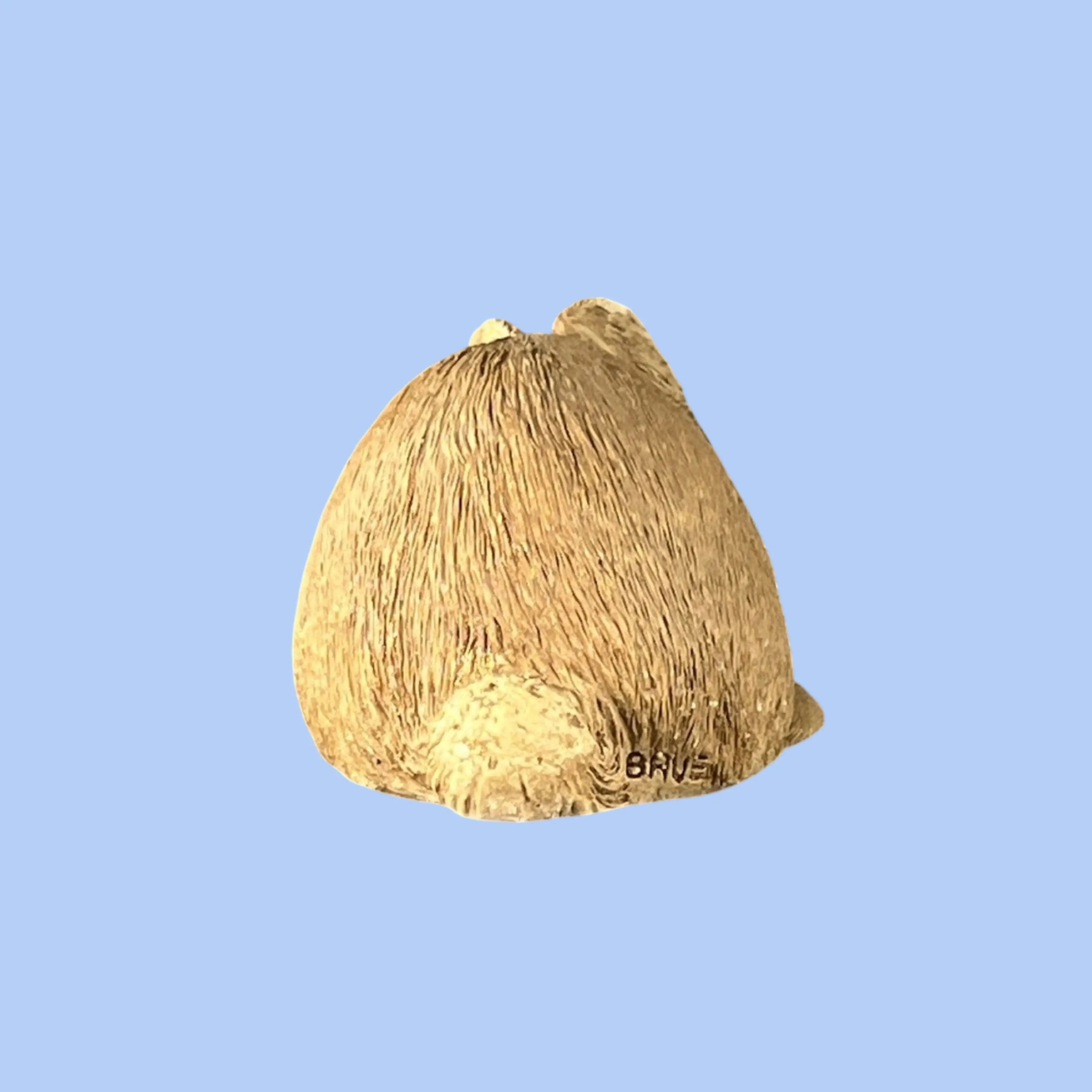 Image 5 of 14