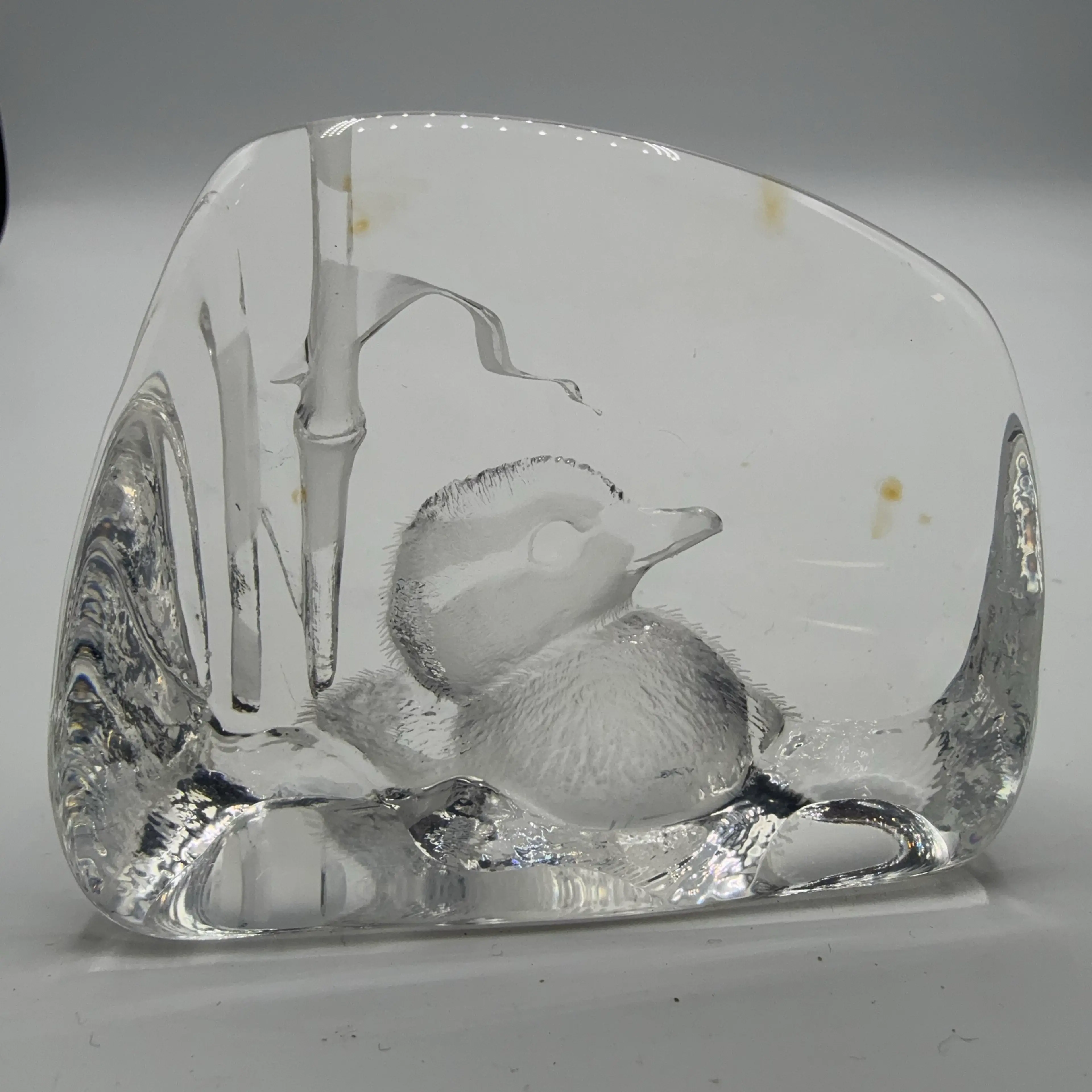 Image 1 of 7