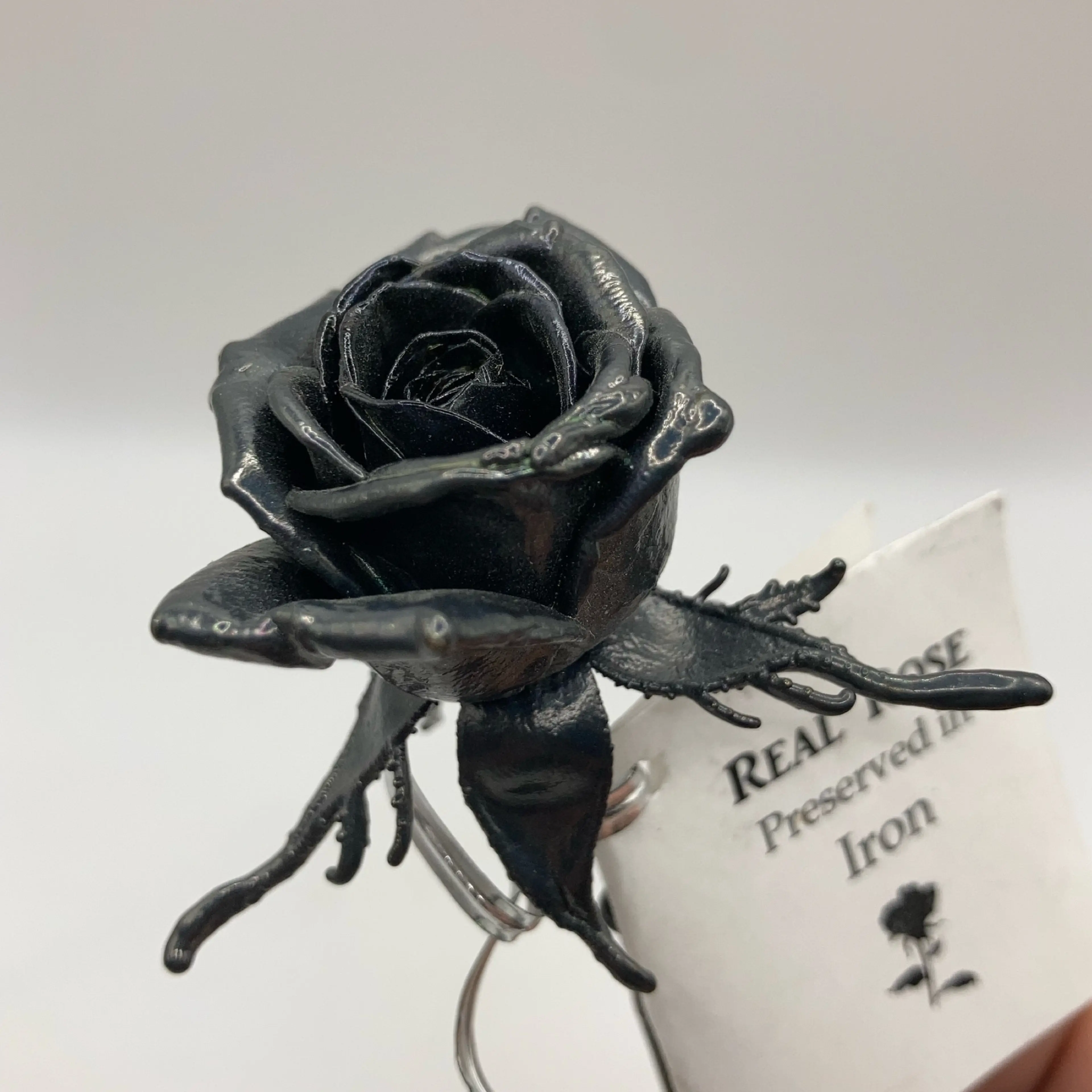 Image 4 of 14
