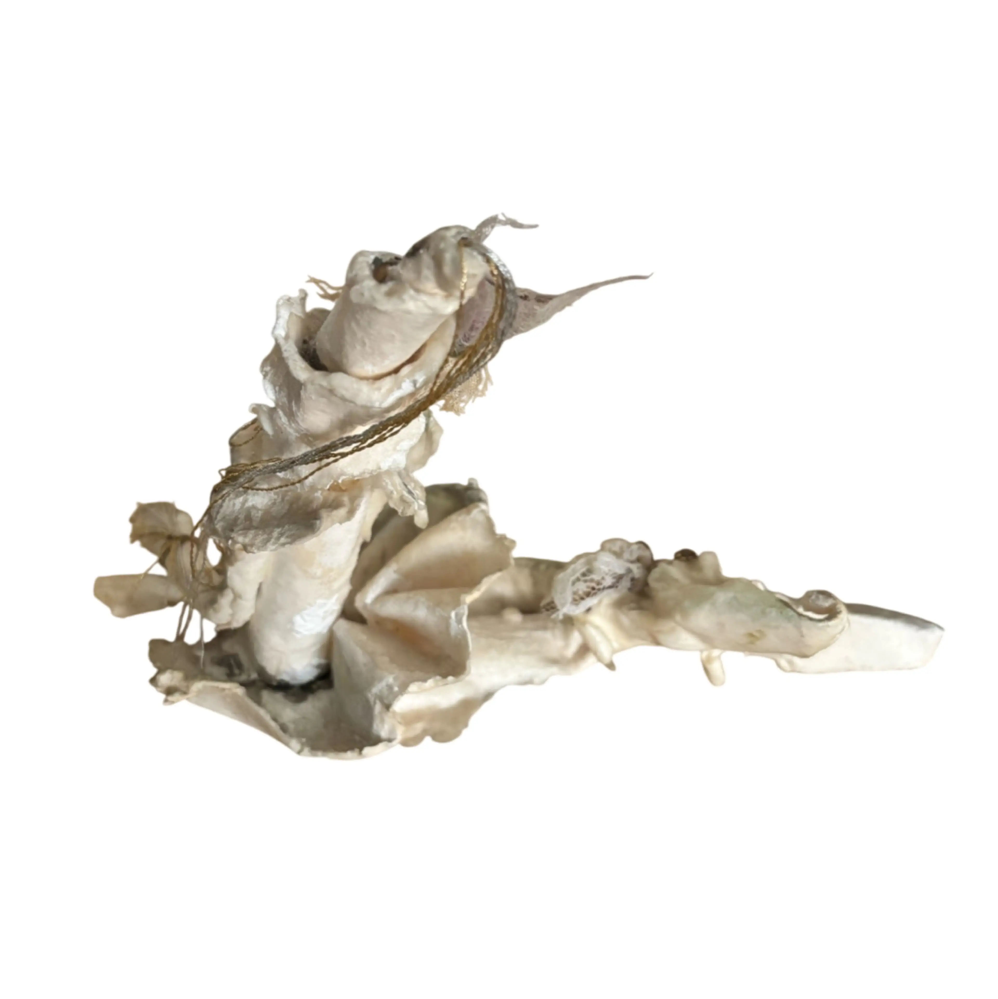 Image 2 of 6