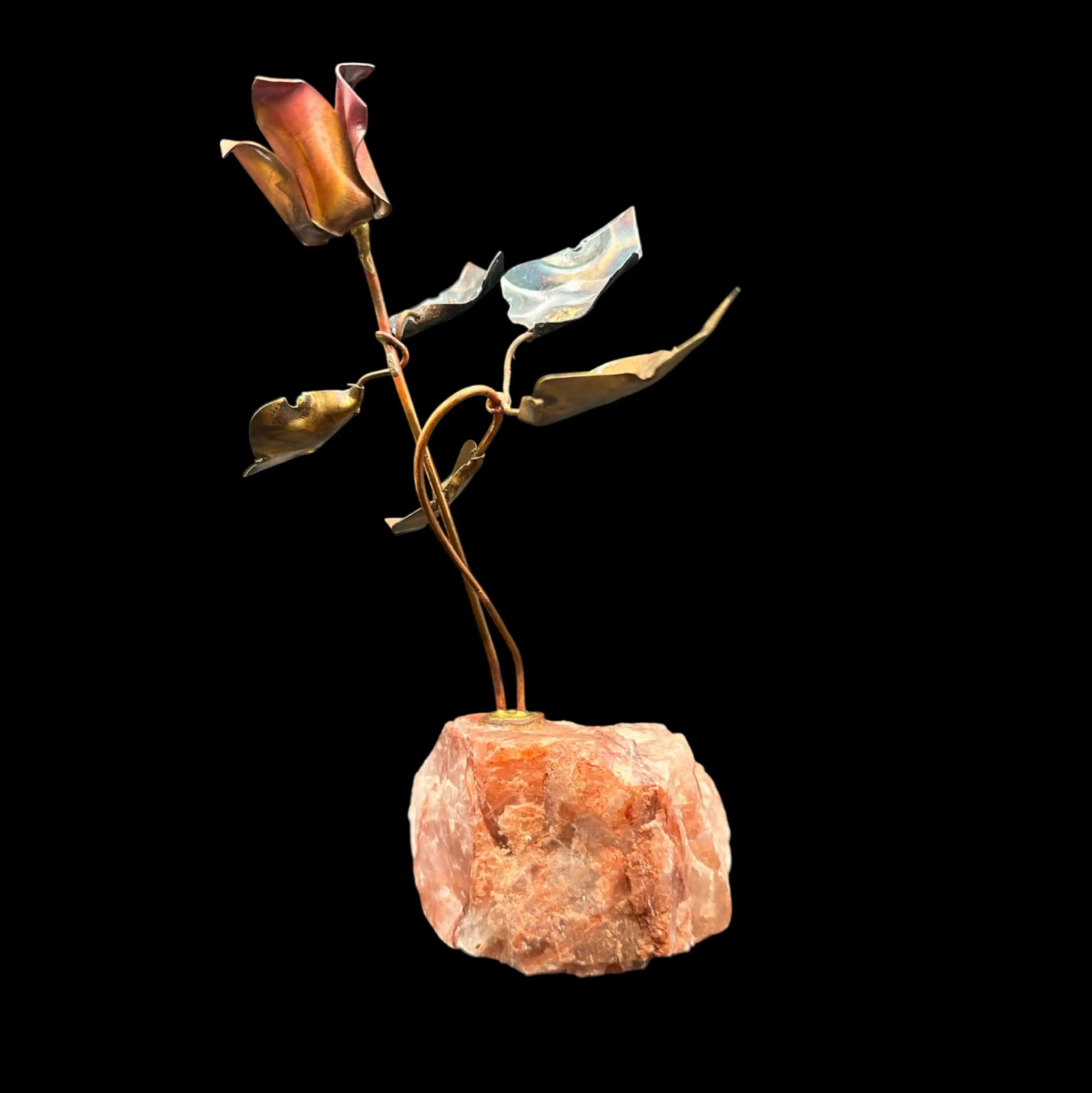 Image 4 of 7