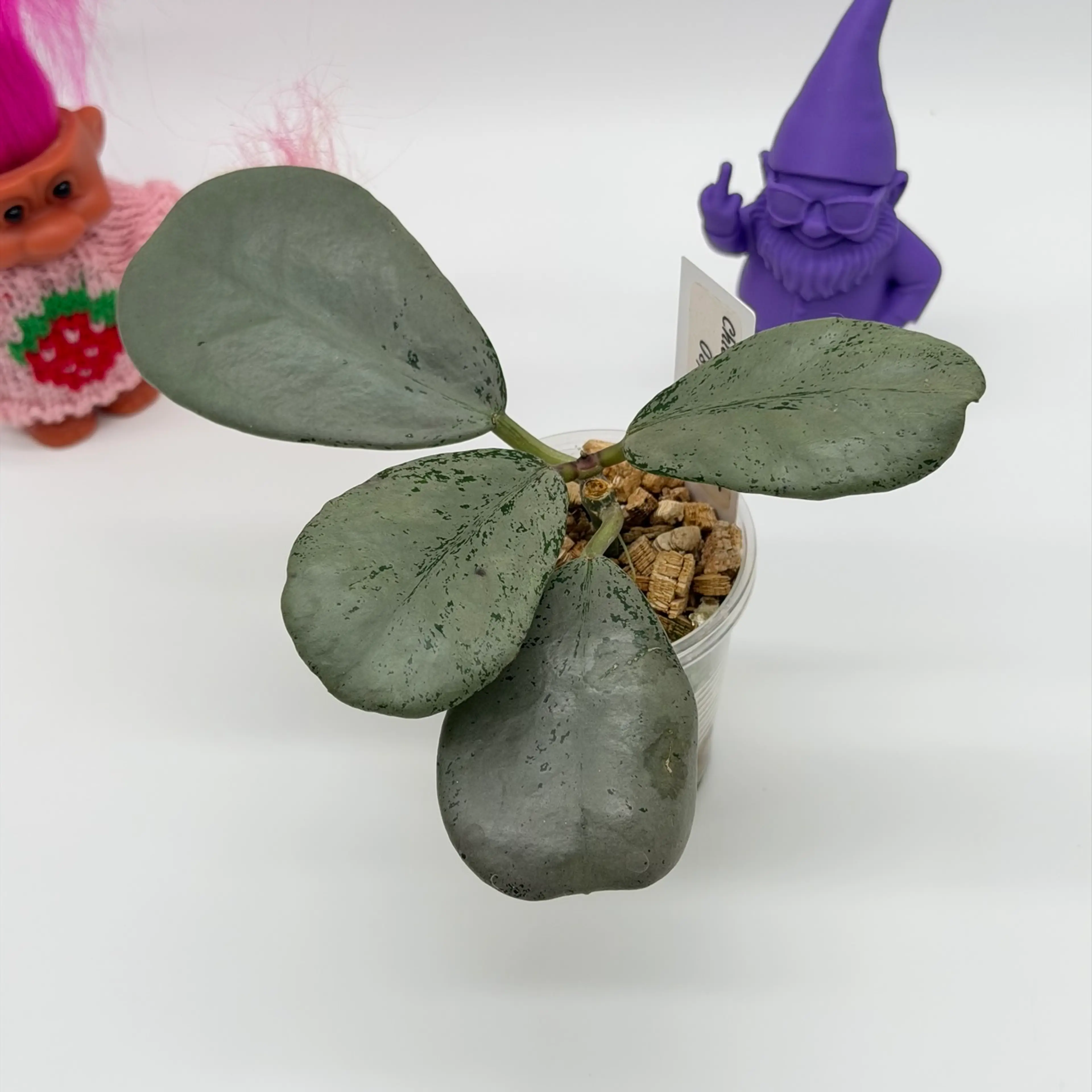 Image 2 of 2