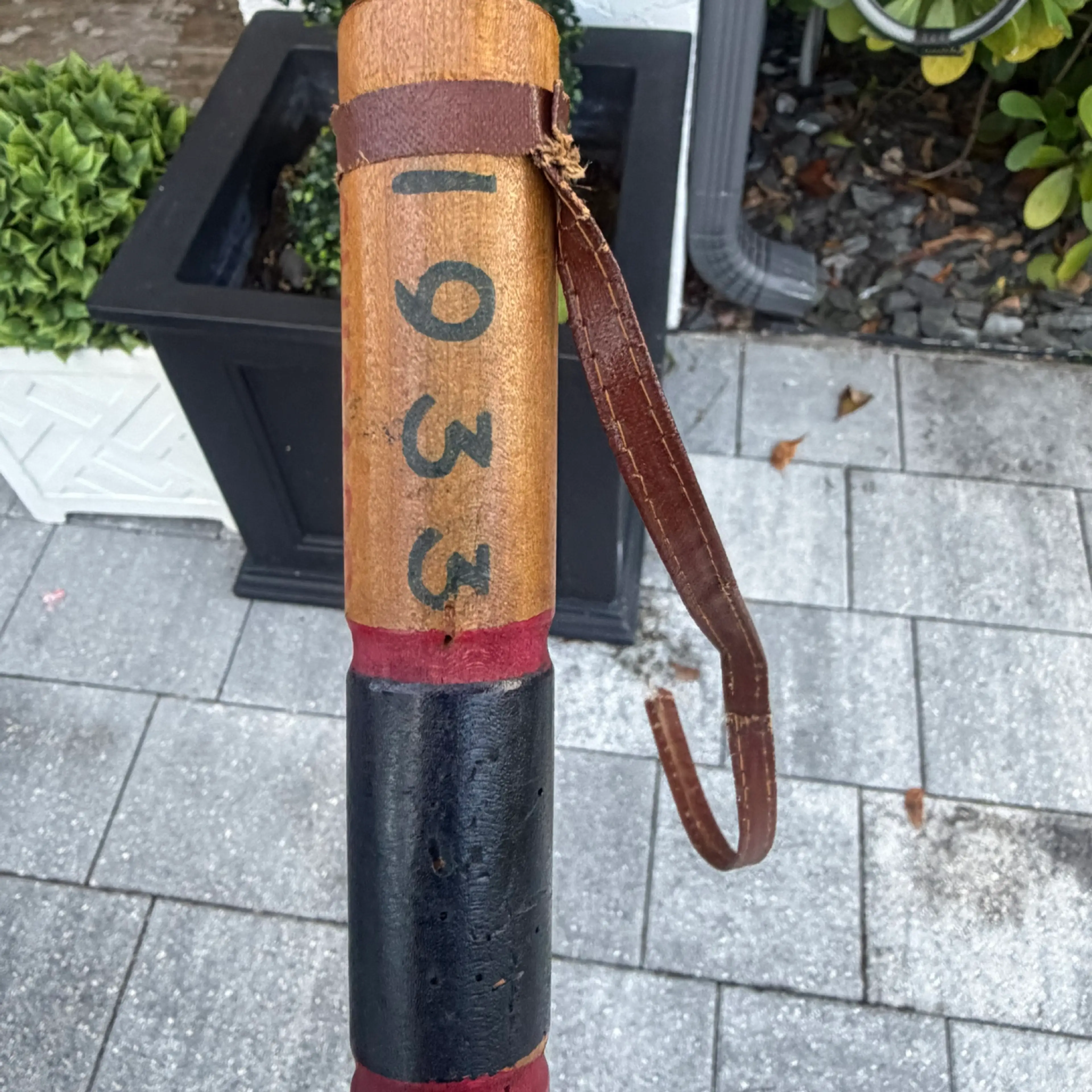 Image 5 of 12