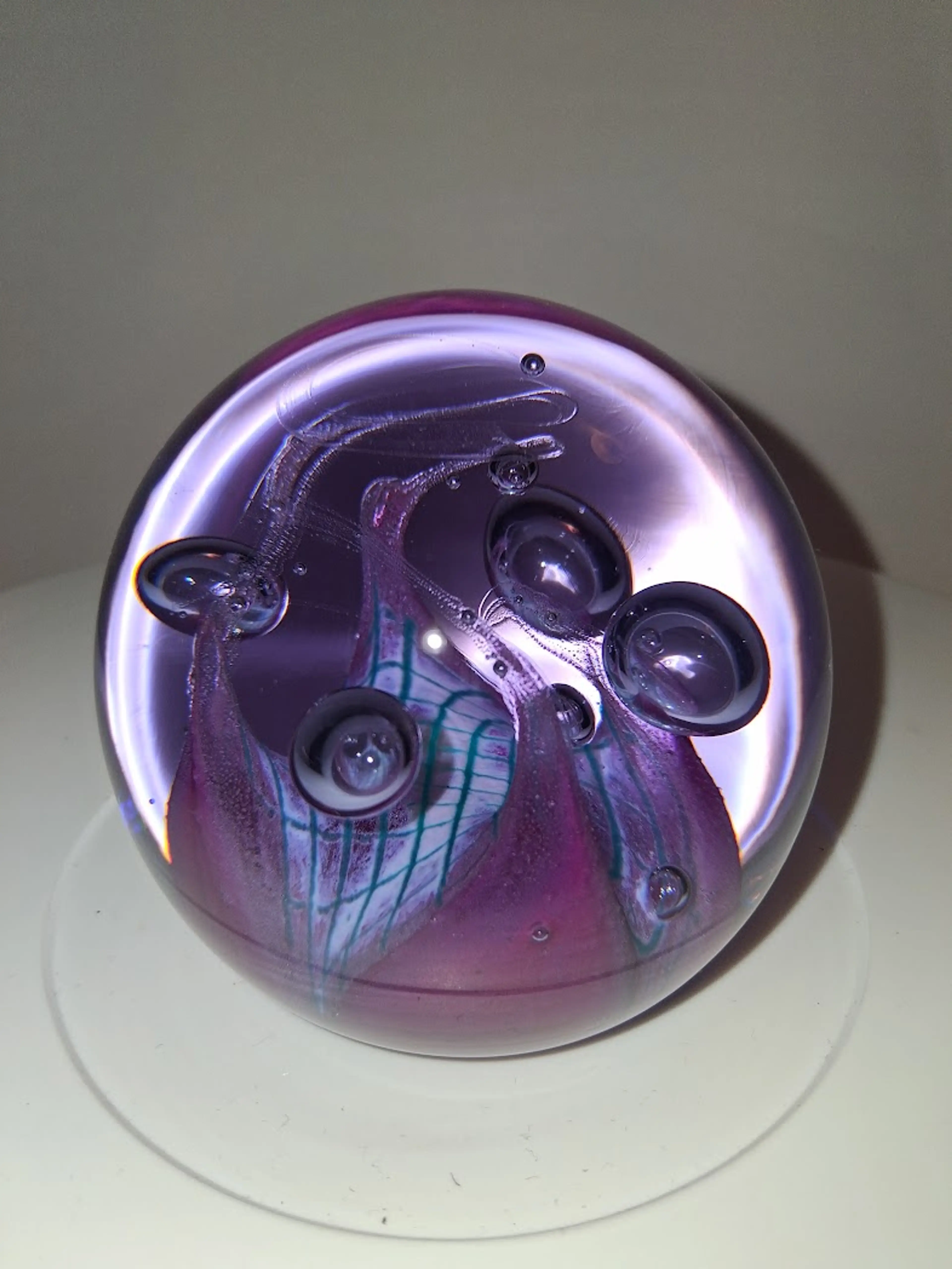 Image 3 of 8