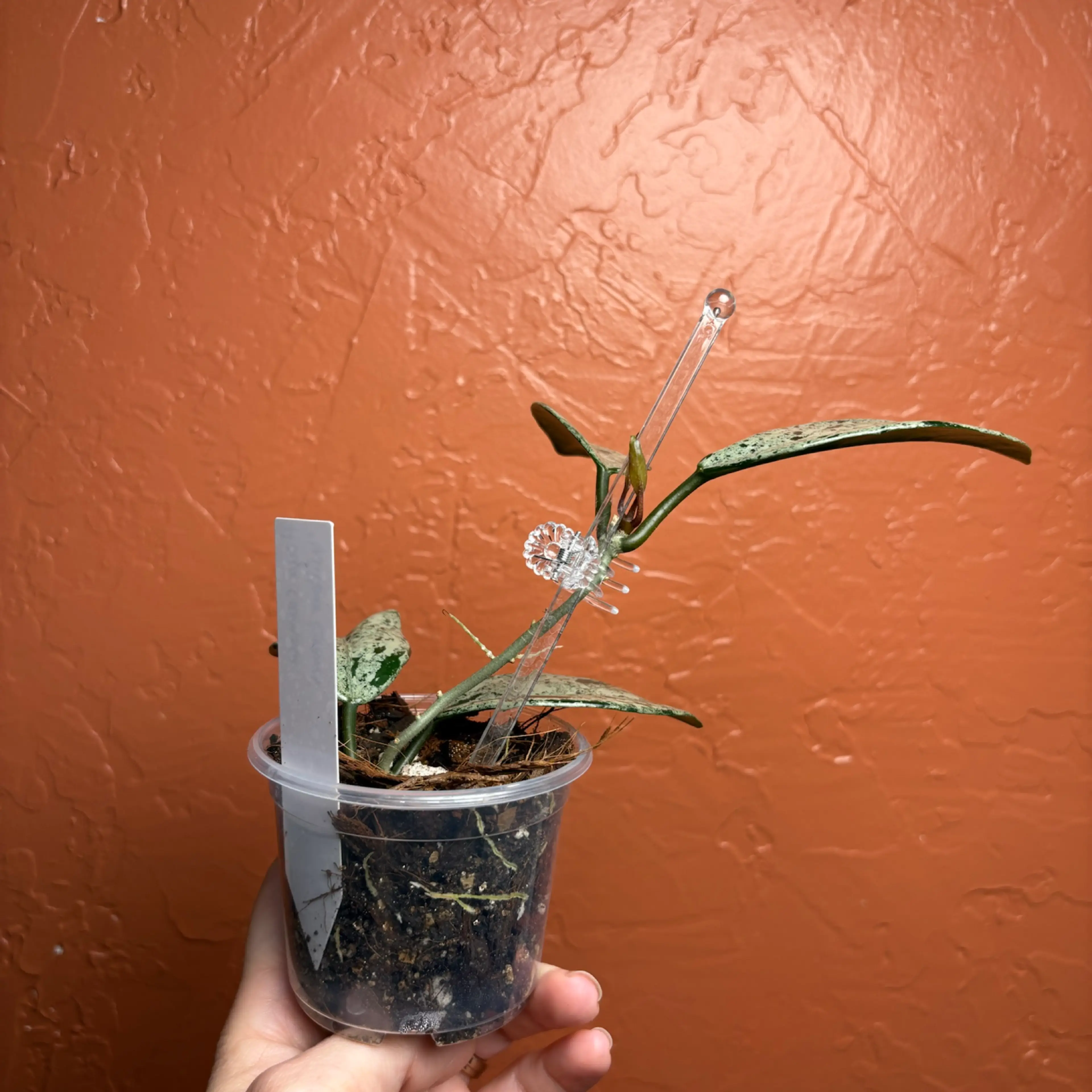 Image 5 of 5