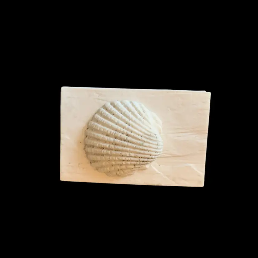 Shell Trinket Box 4 3/8 X 2 7/8 X 2 3/8 Inches