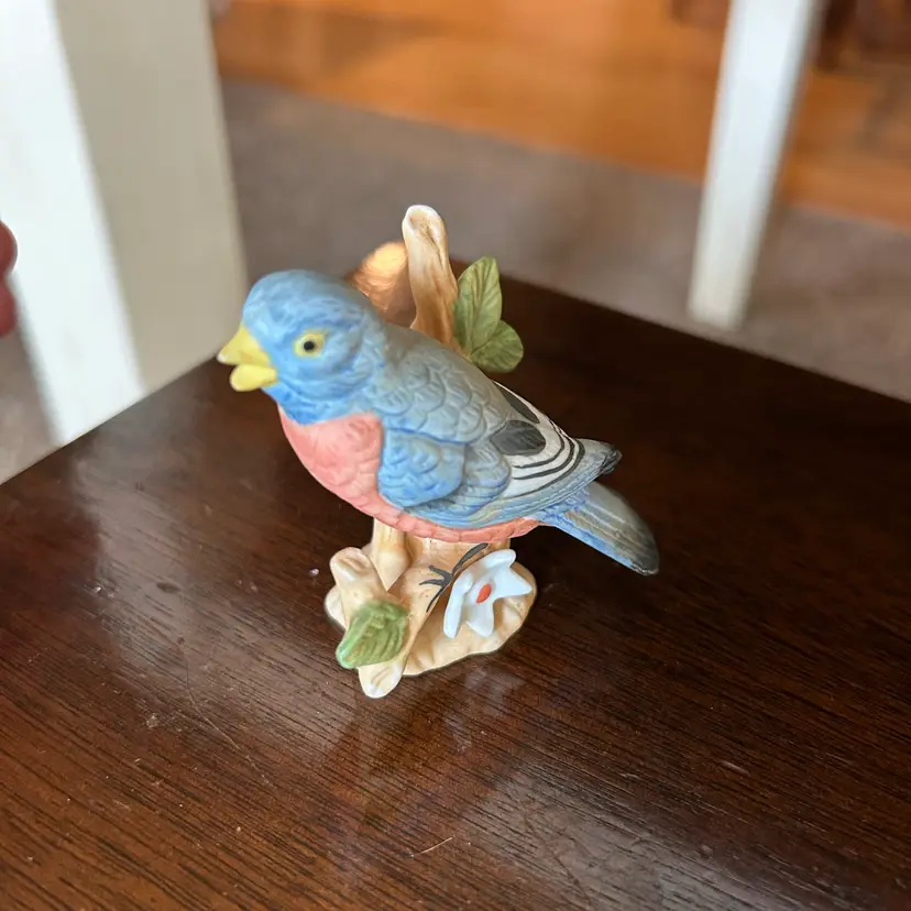 Bird Blue Jay
