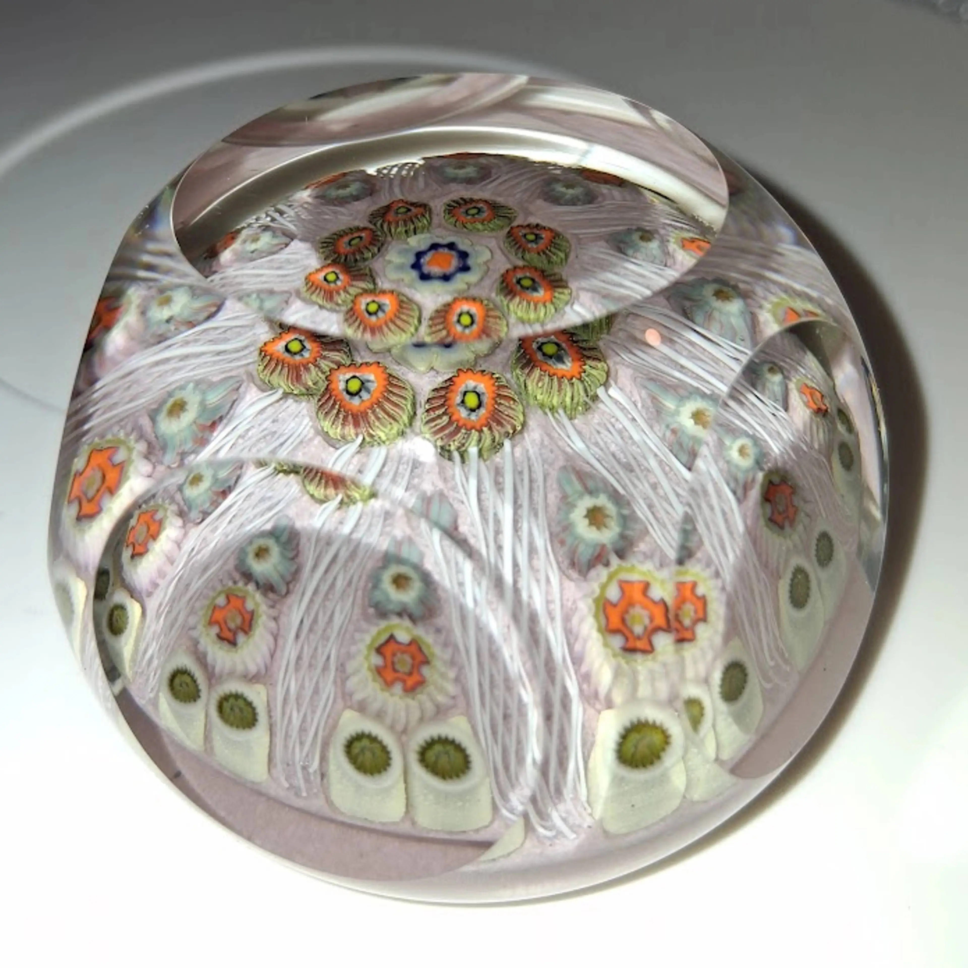 Image 4 of 9
