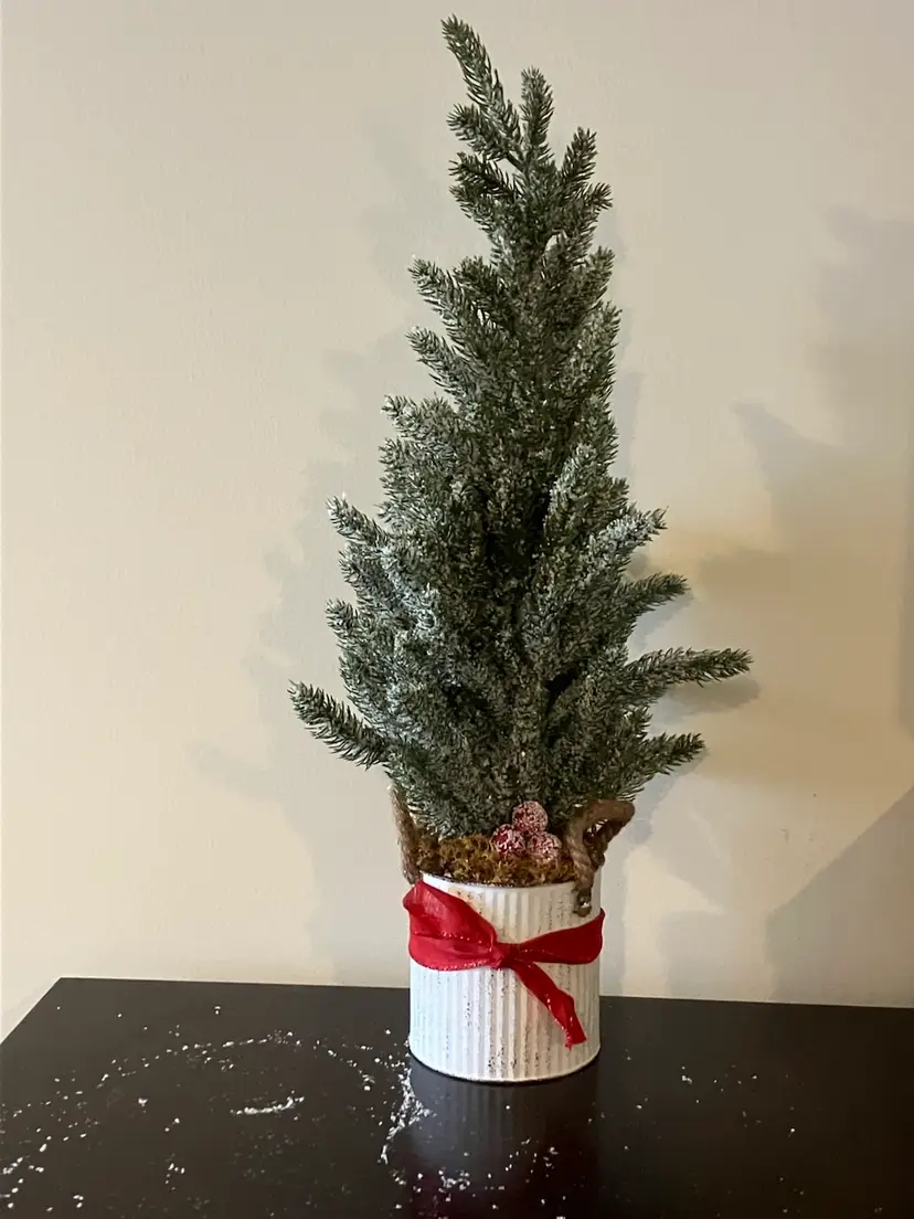 Ragon House 24” Flocked Tree w/ Rope Handled Pot