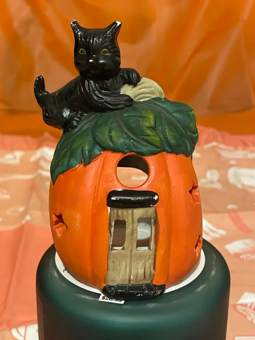 Kitty On Pumpkin