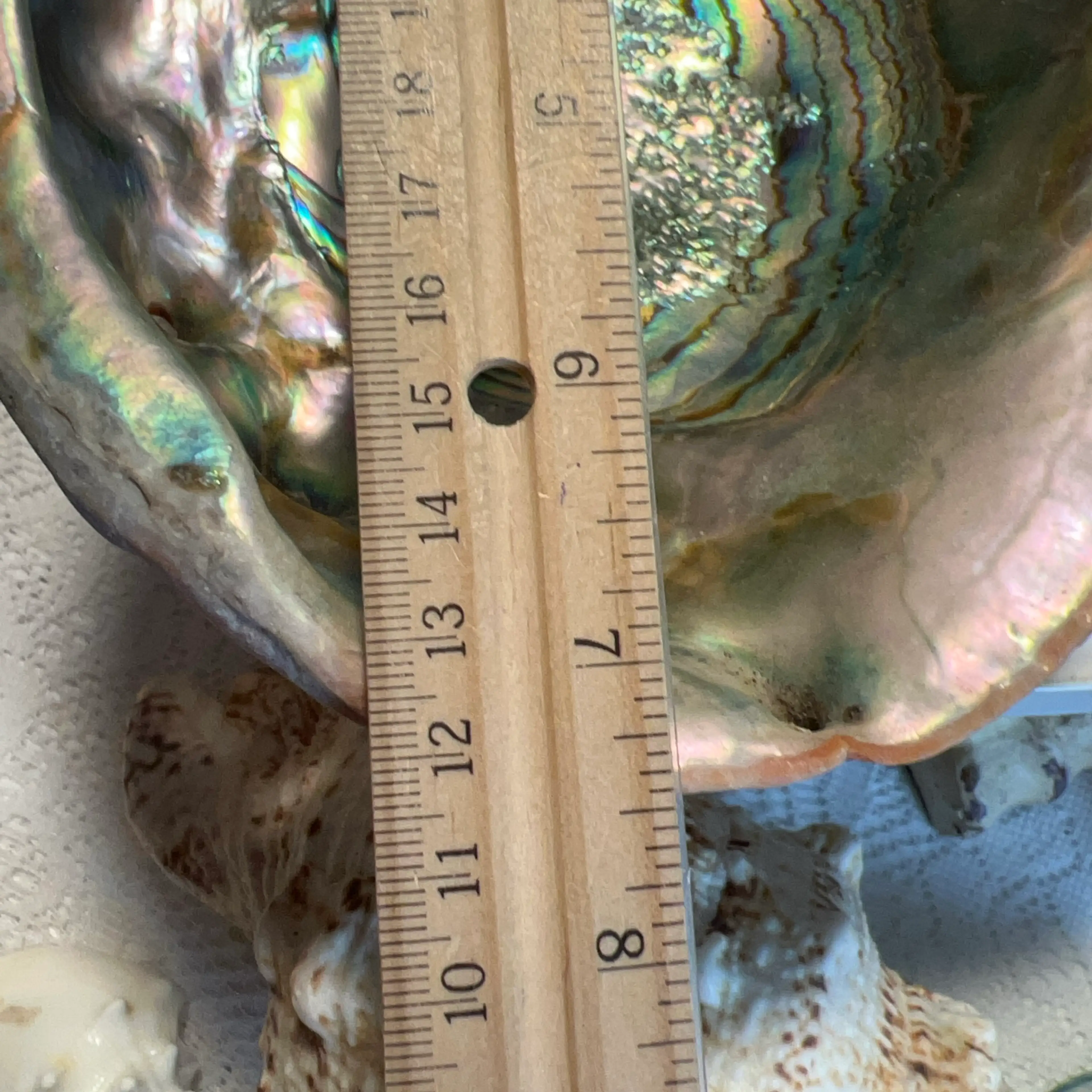 Image 4 of 8