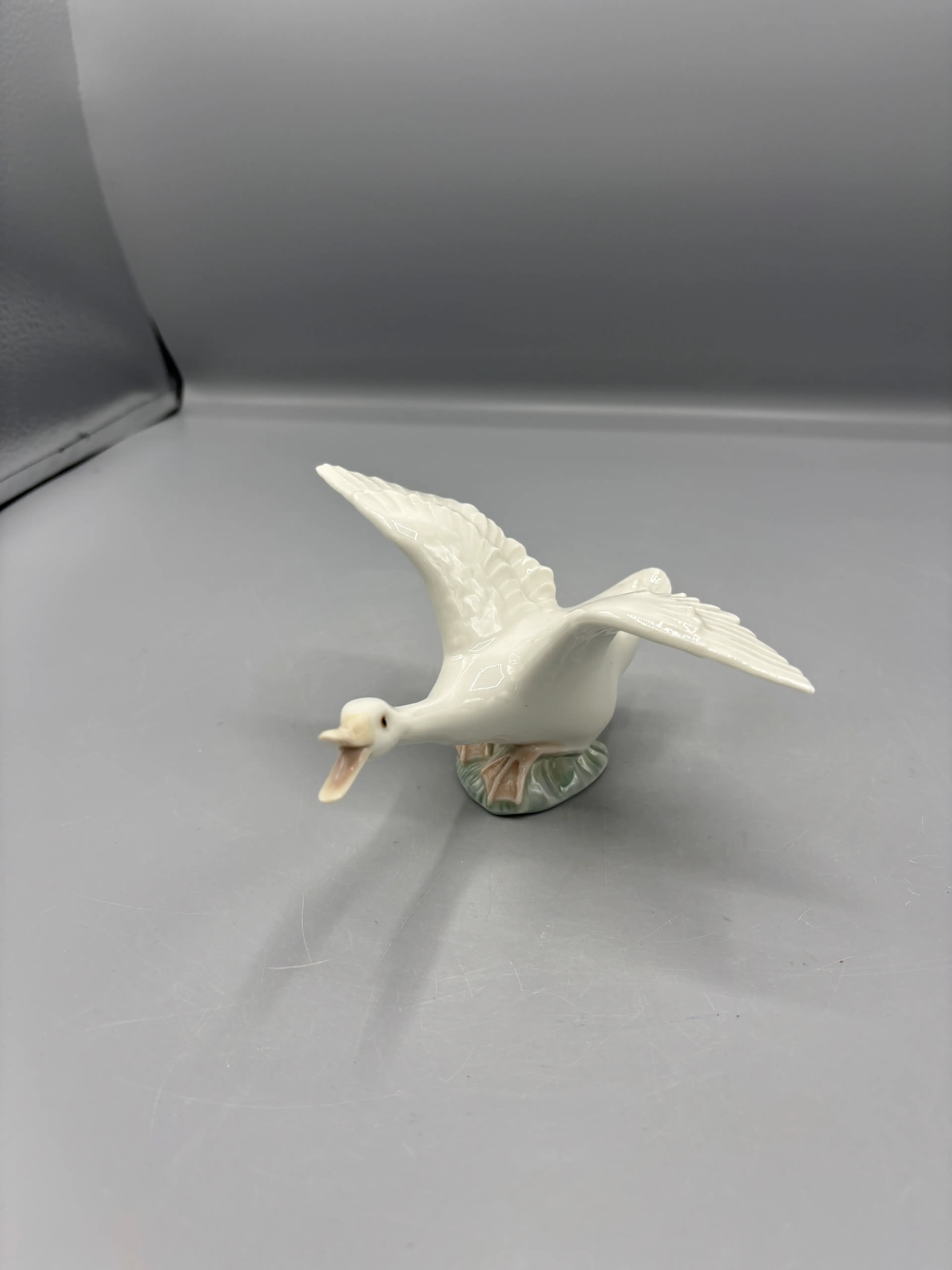 Image 5 of 6