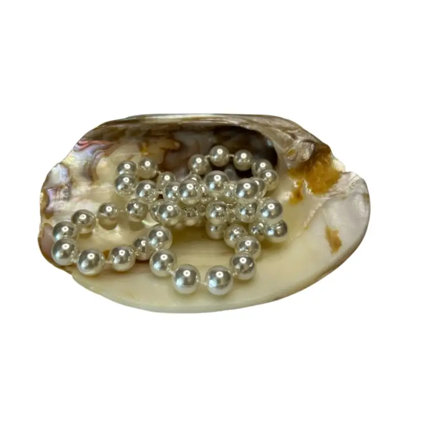 Iridescent Abalone Seashell Bowl @4x5
