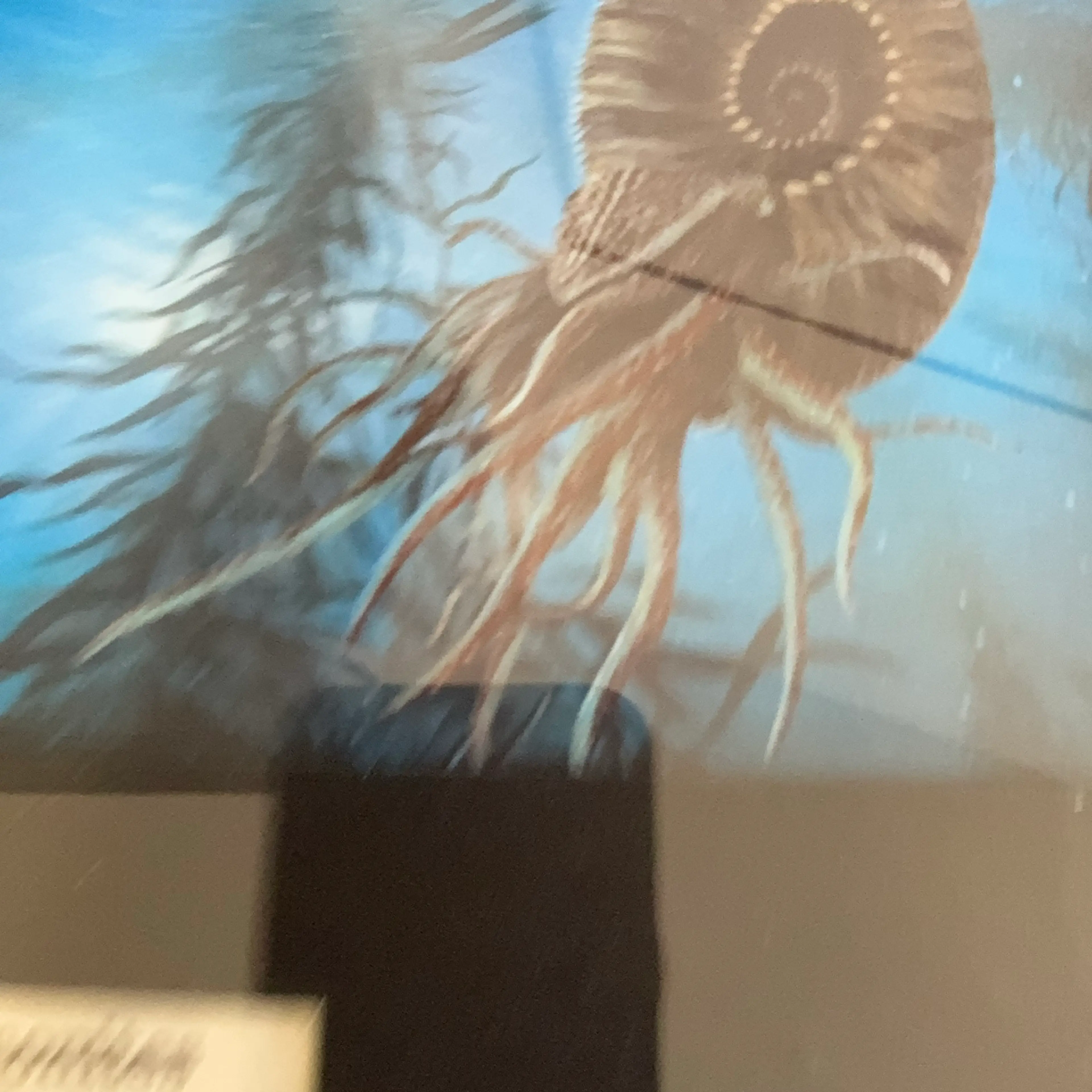 Image 4 of 4