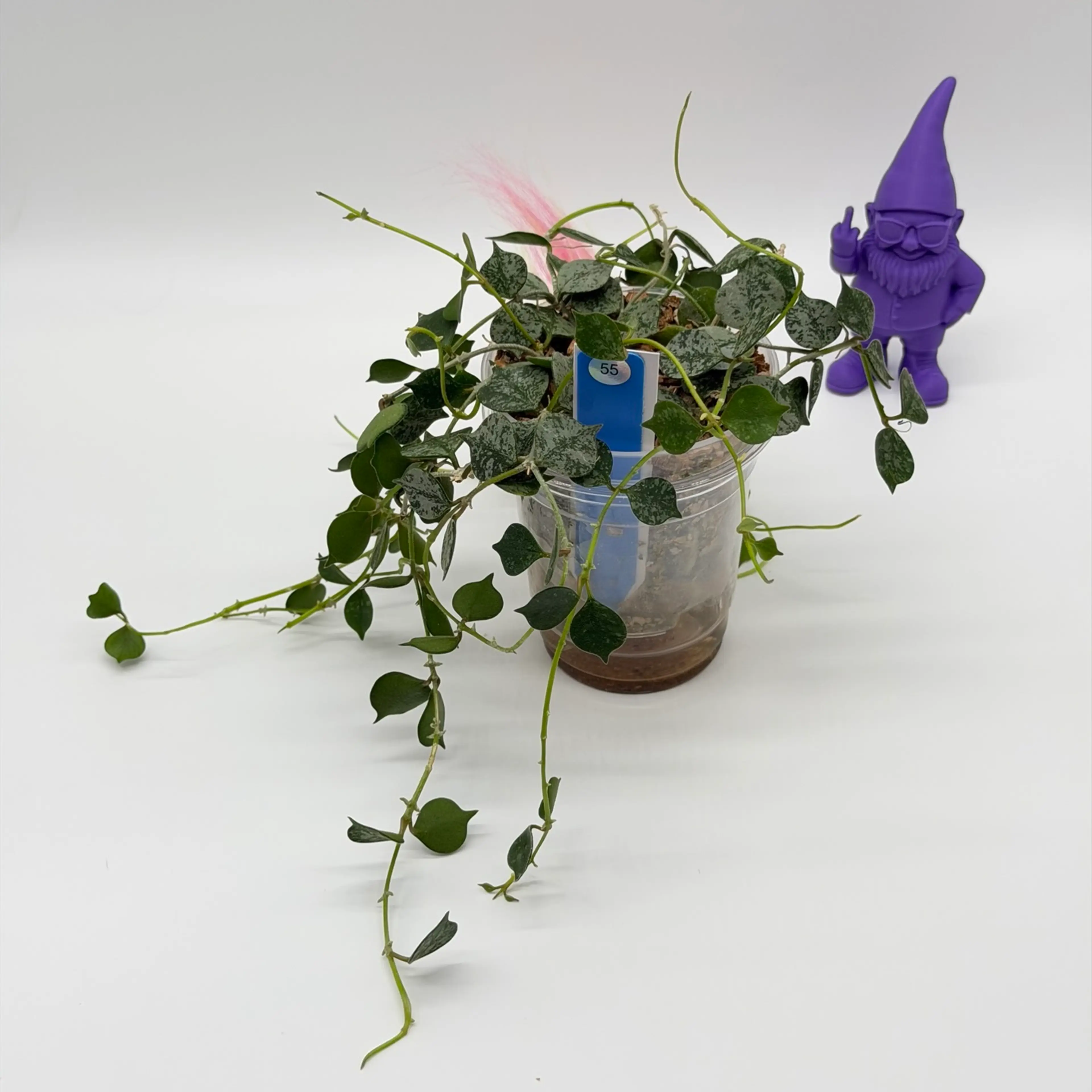 Image 3 of 3