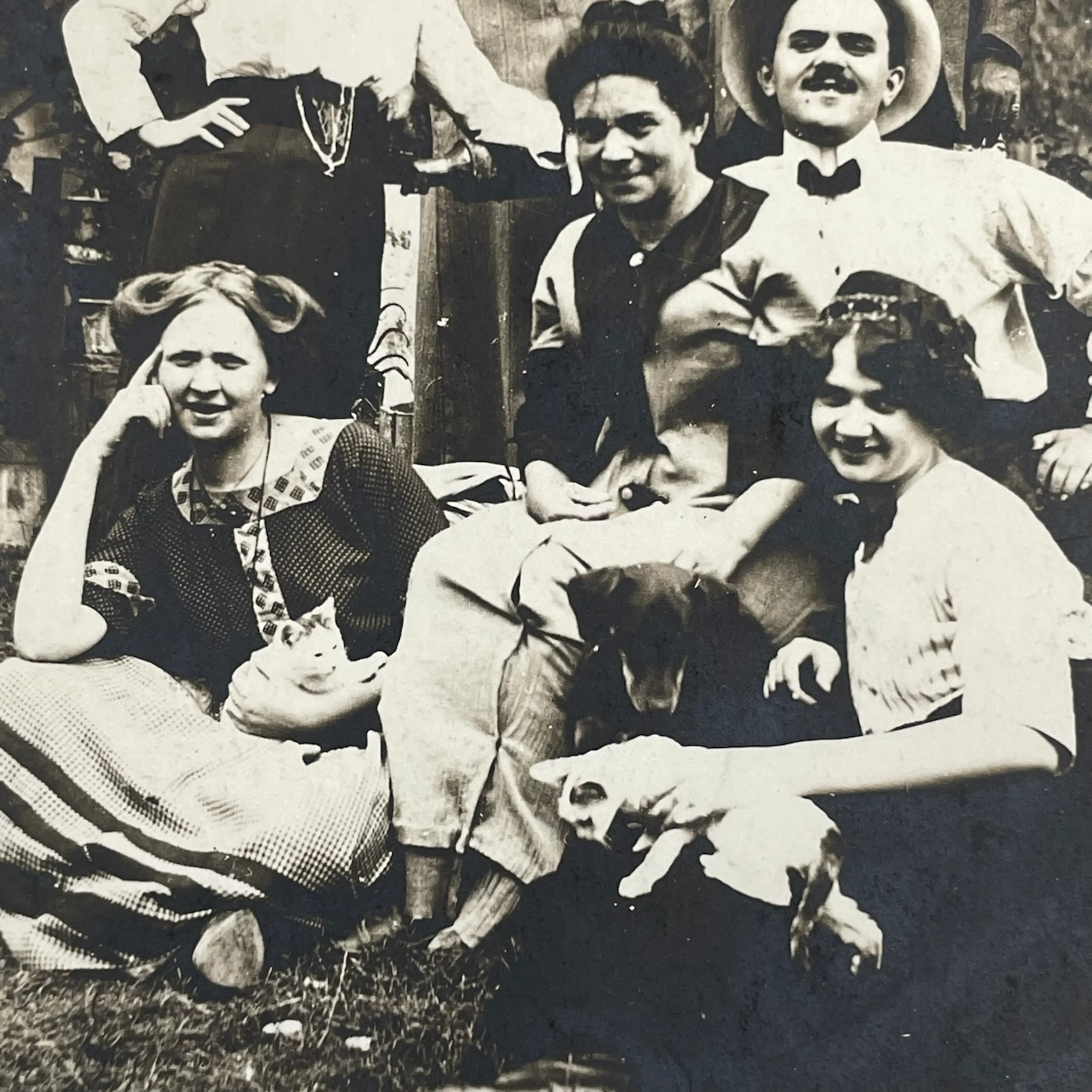 Image 3 of 8