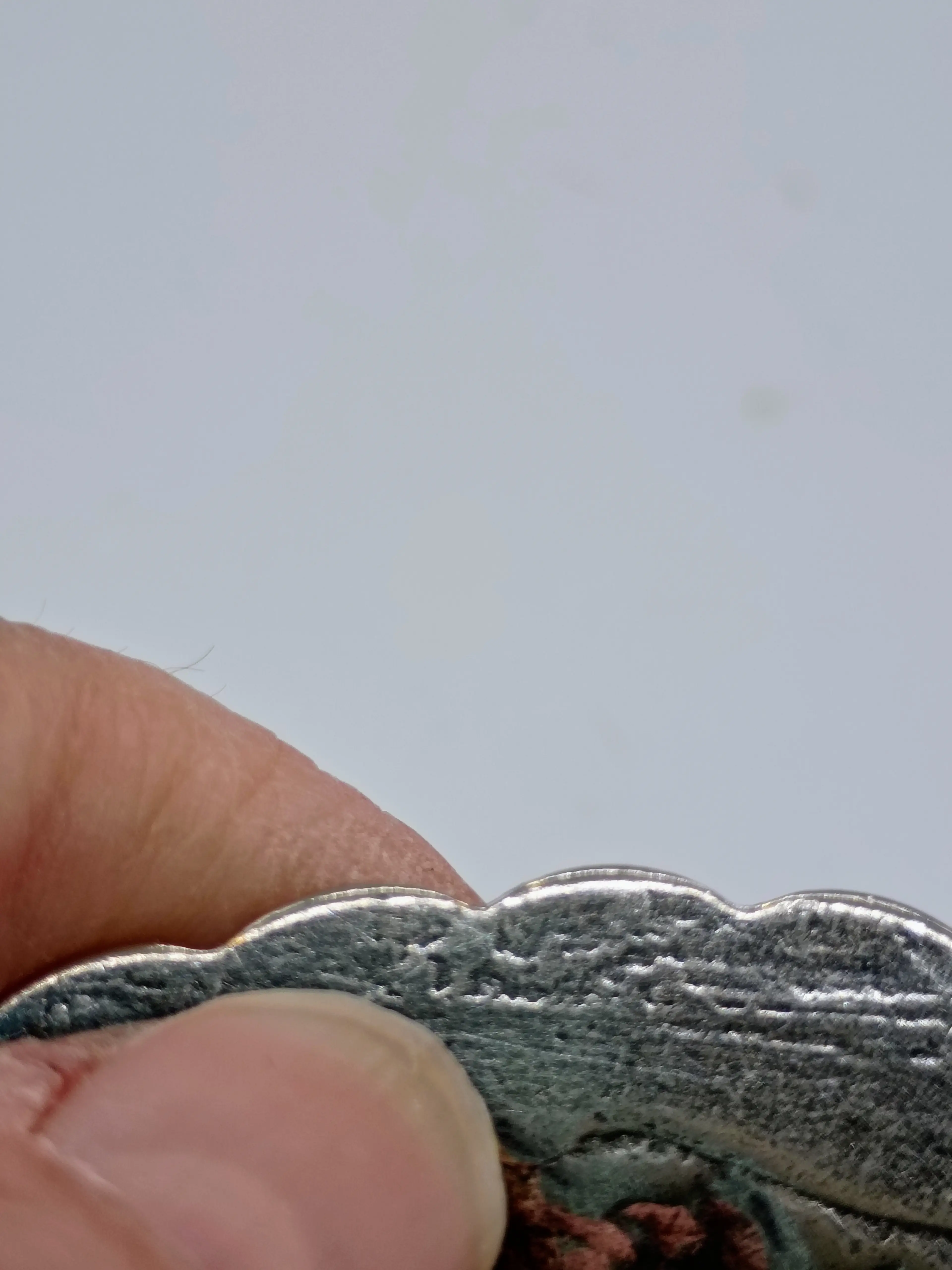 Image 4 of 5