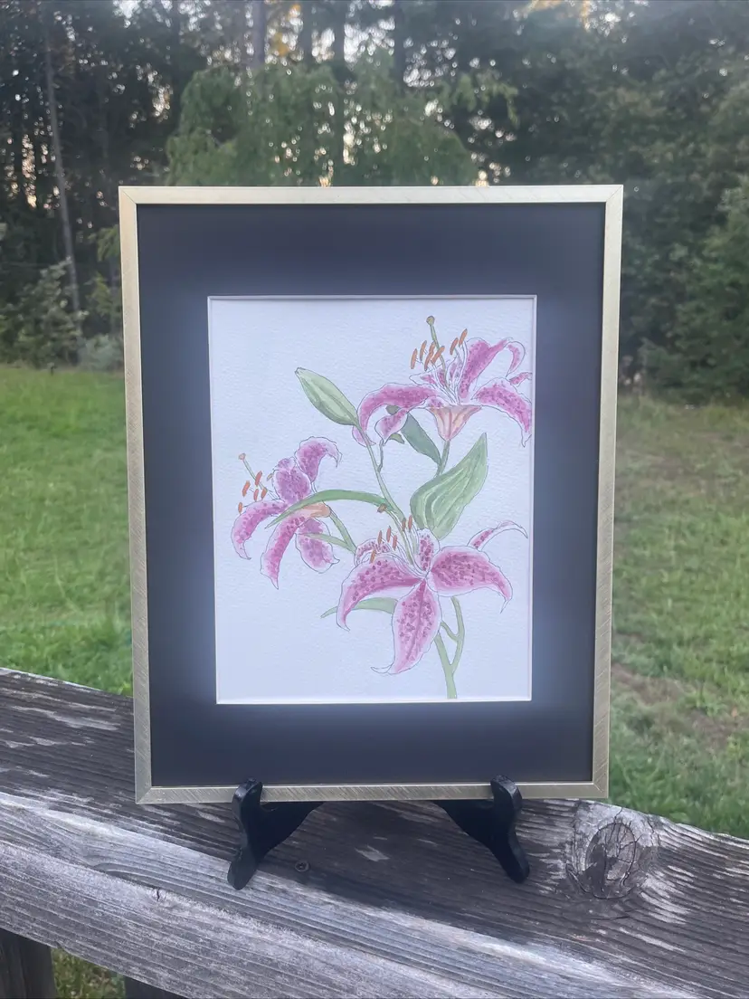 Watercolor Painting, Stargazer Lilles