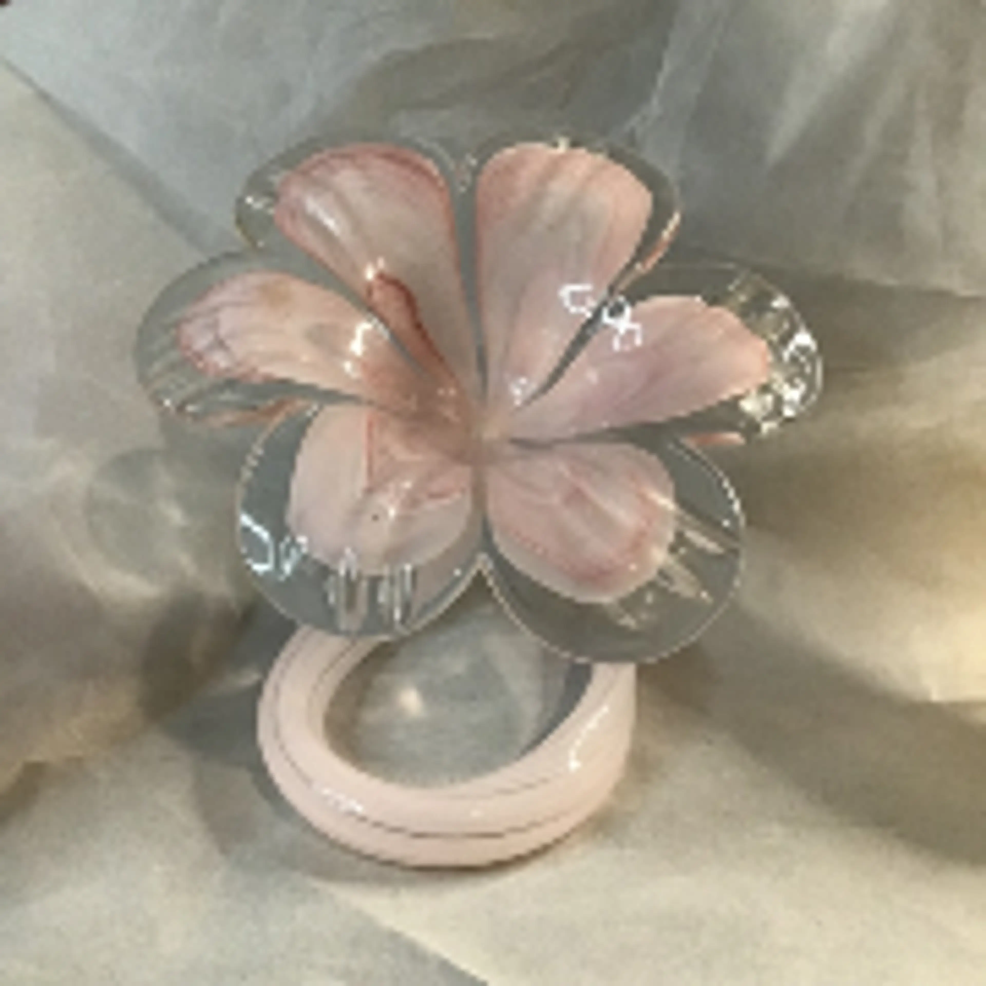 Image 3 of 7