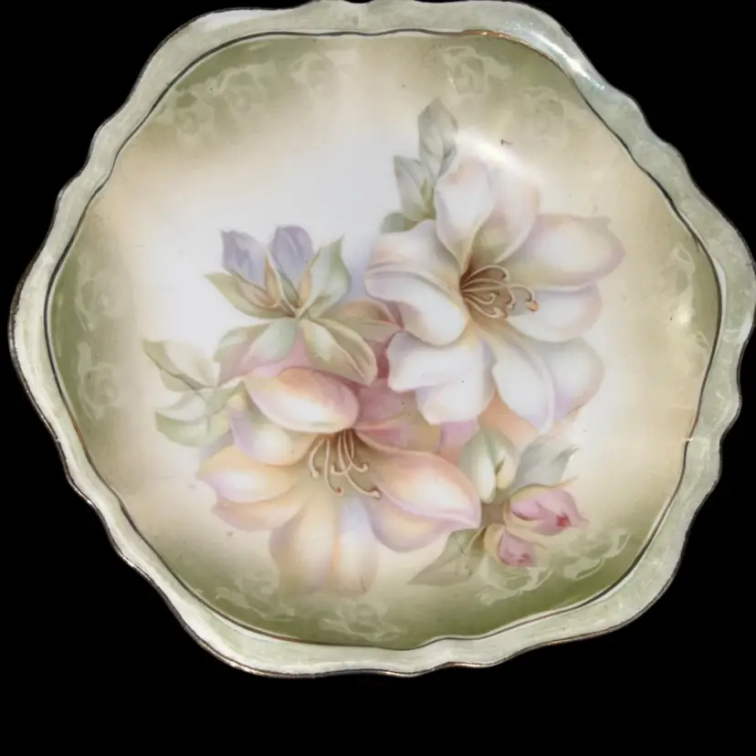R & S Germany Dish