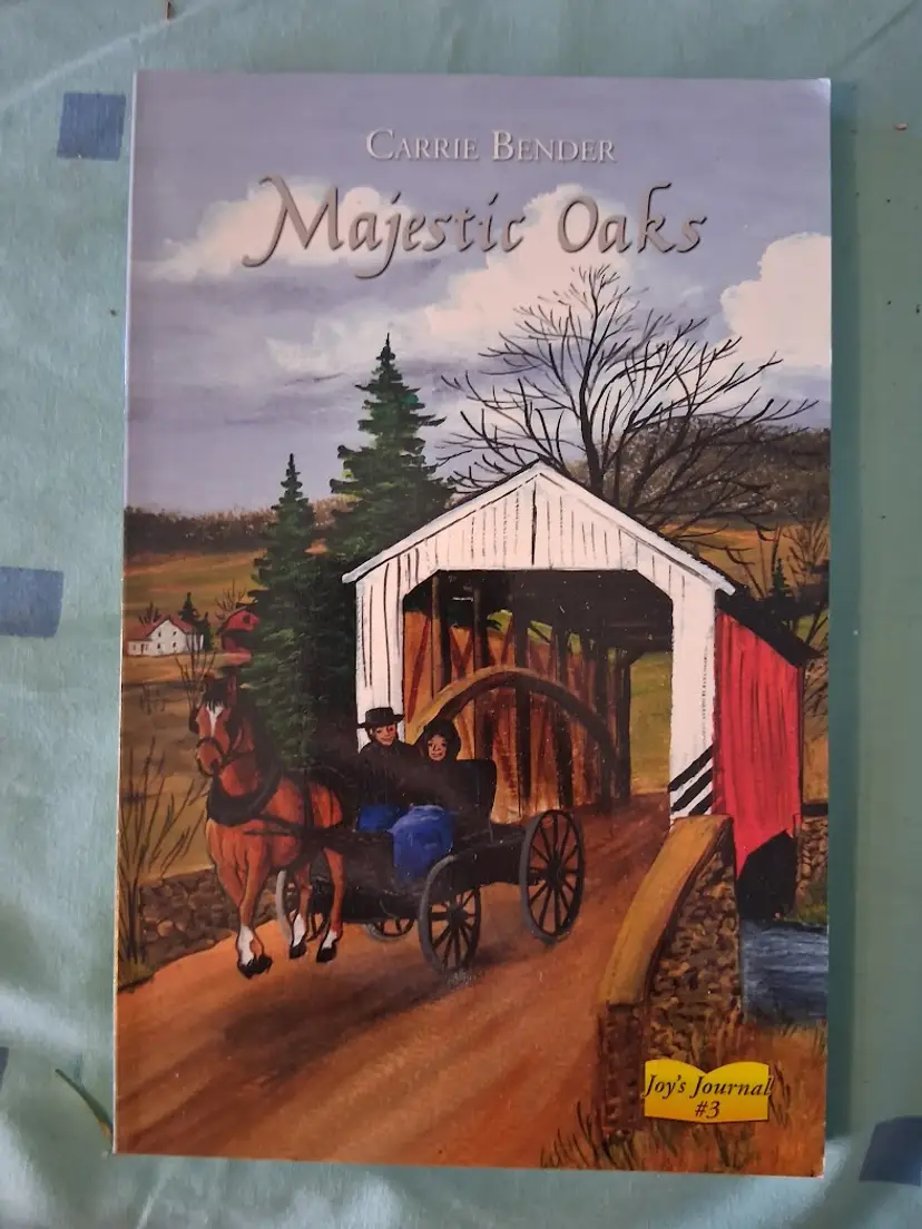 Christian Amish Fiction Book by Carrie Bender (Old Order Amish Woman who writes under a pen name)