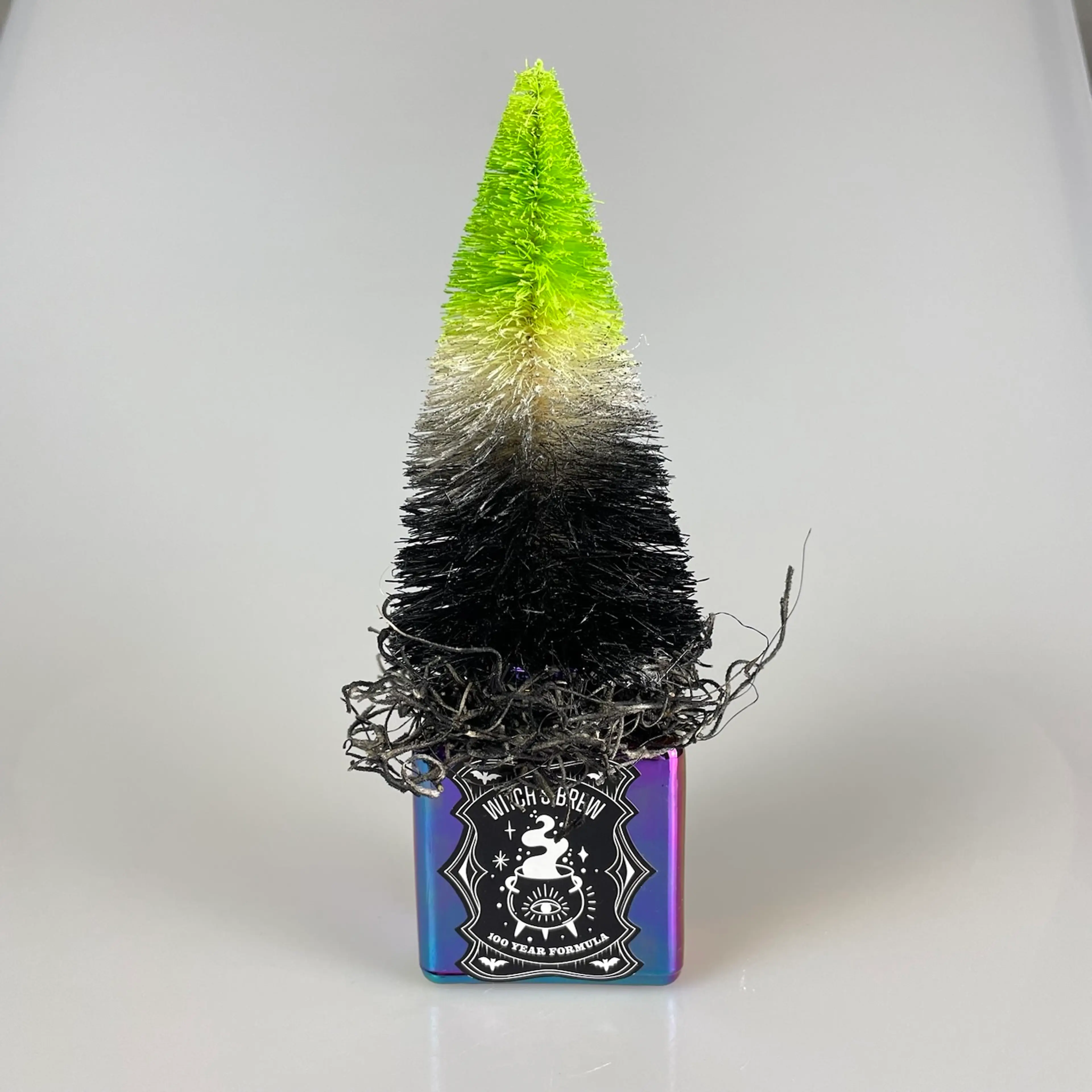 Image 1 of 6