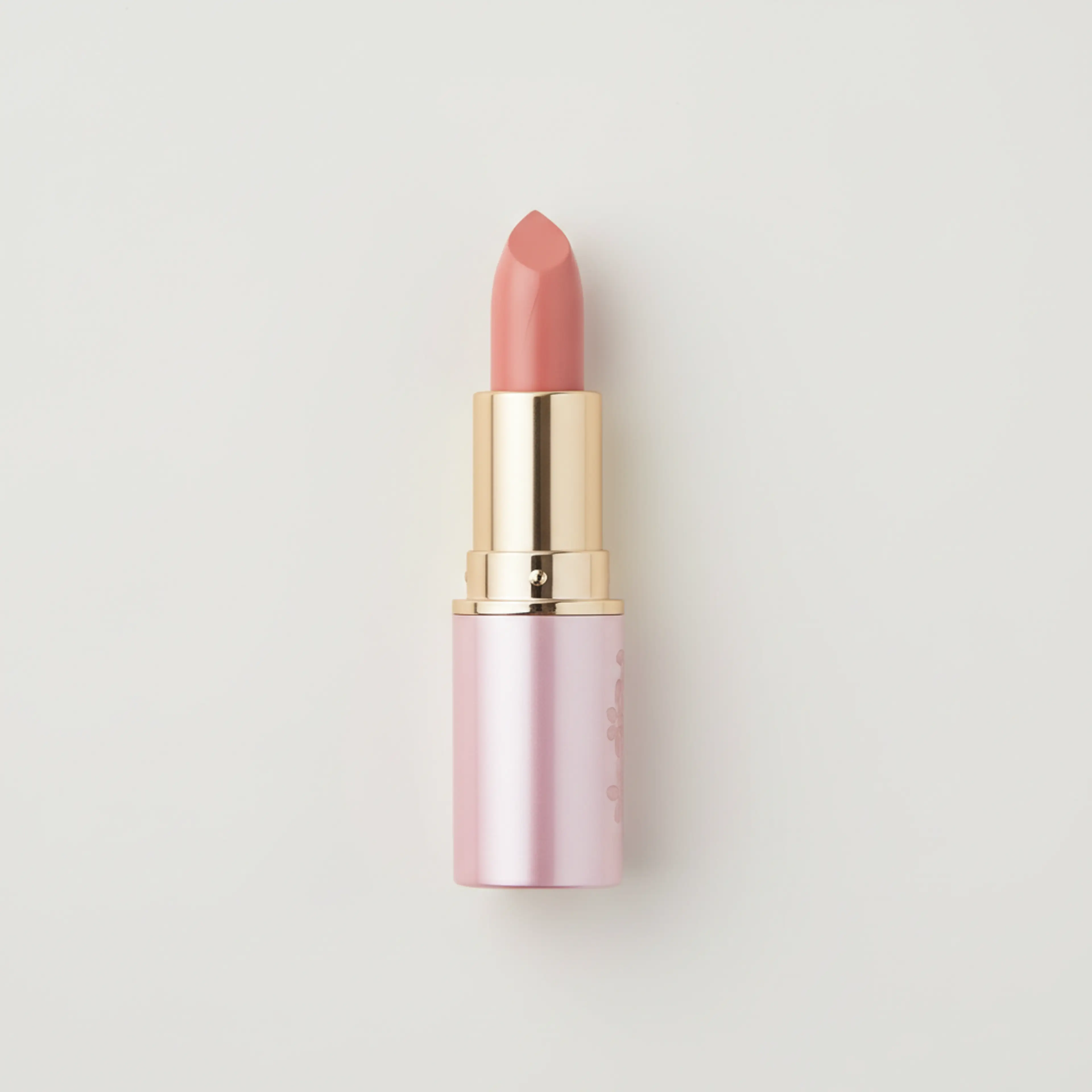 Lip Perfection