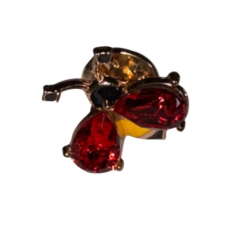 Broach As Show