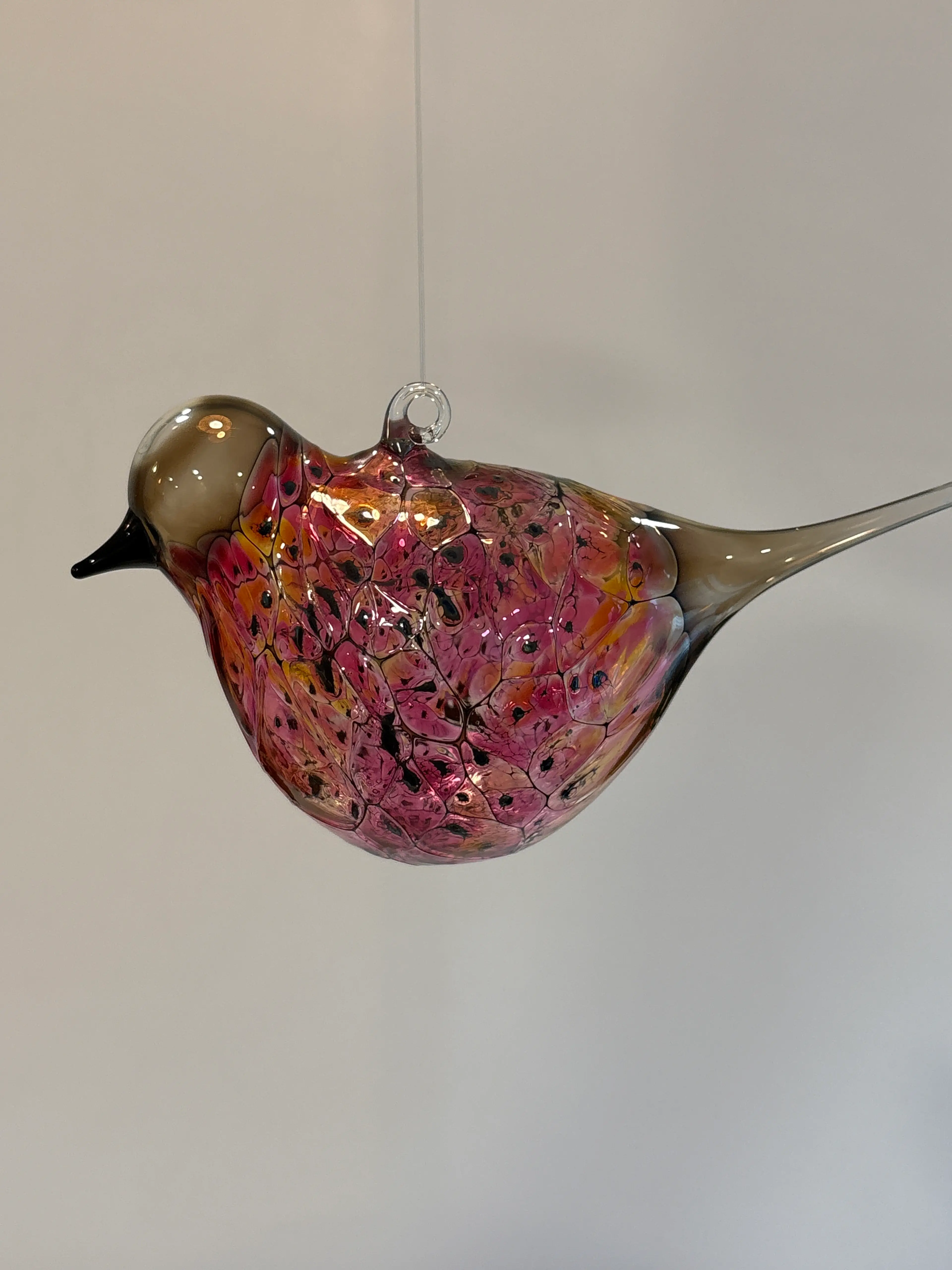 Image 3 of 5