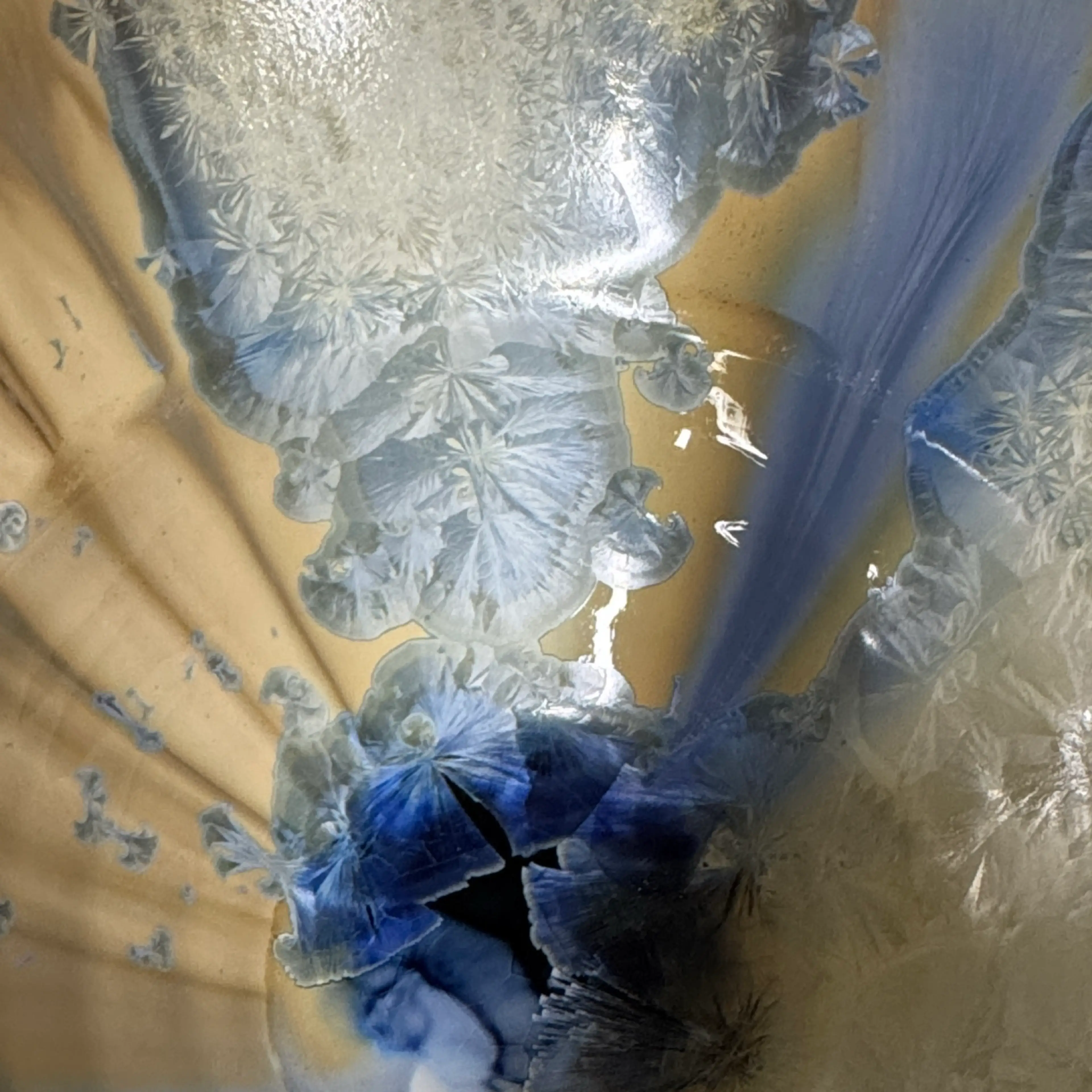 Image 4 of 6