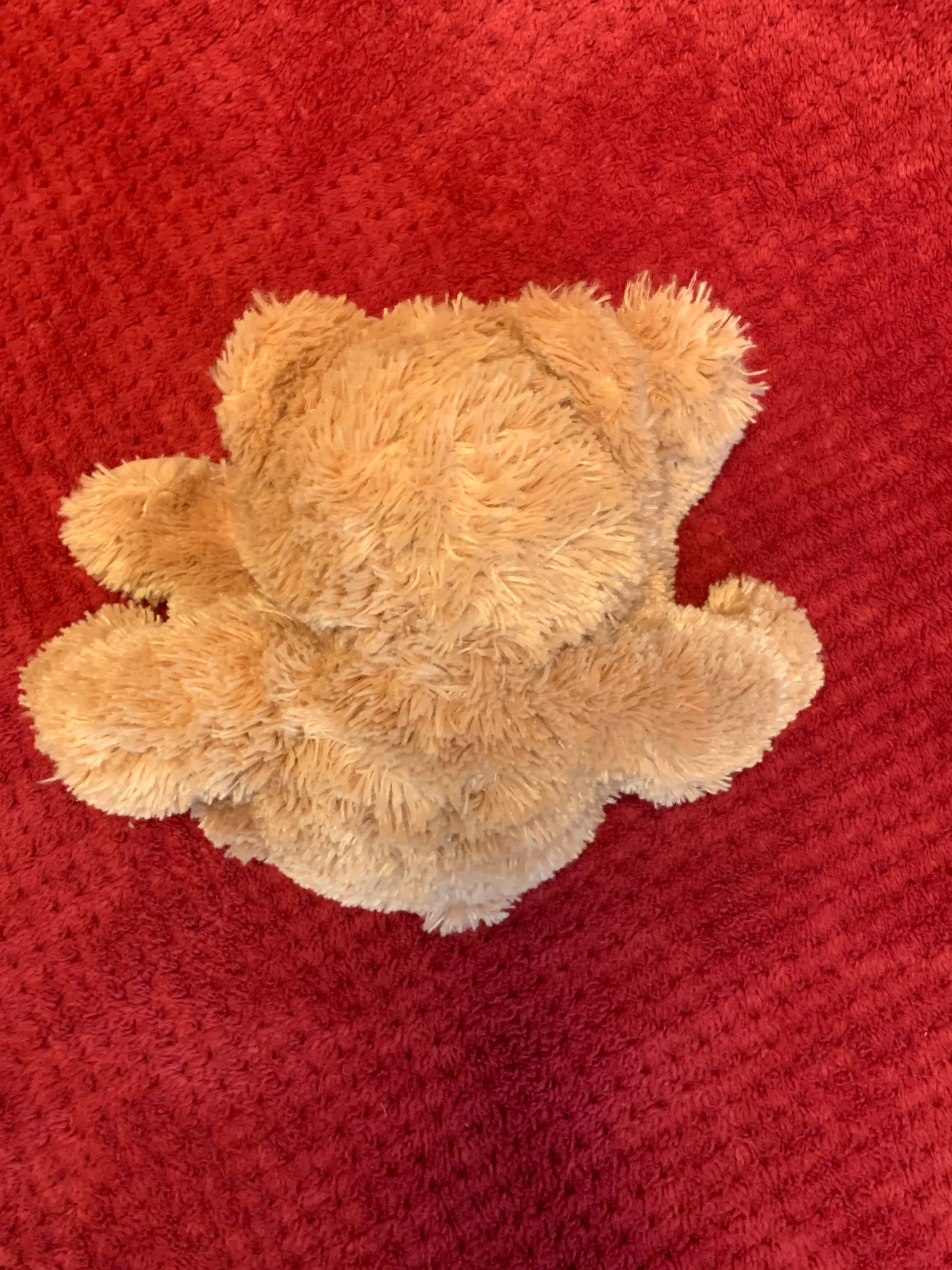 Image 4 of 7
