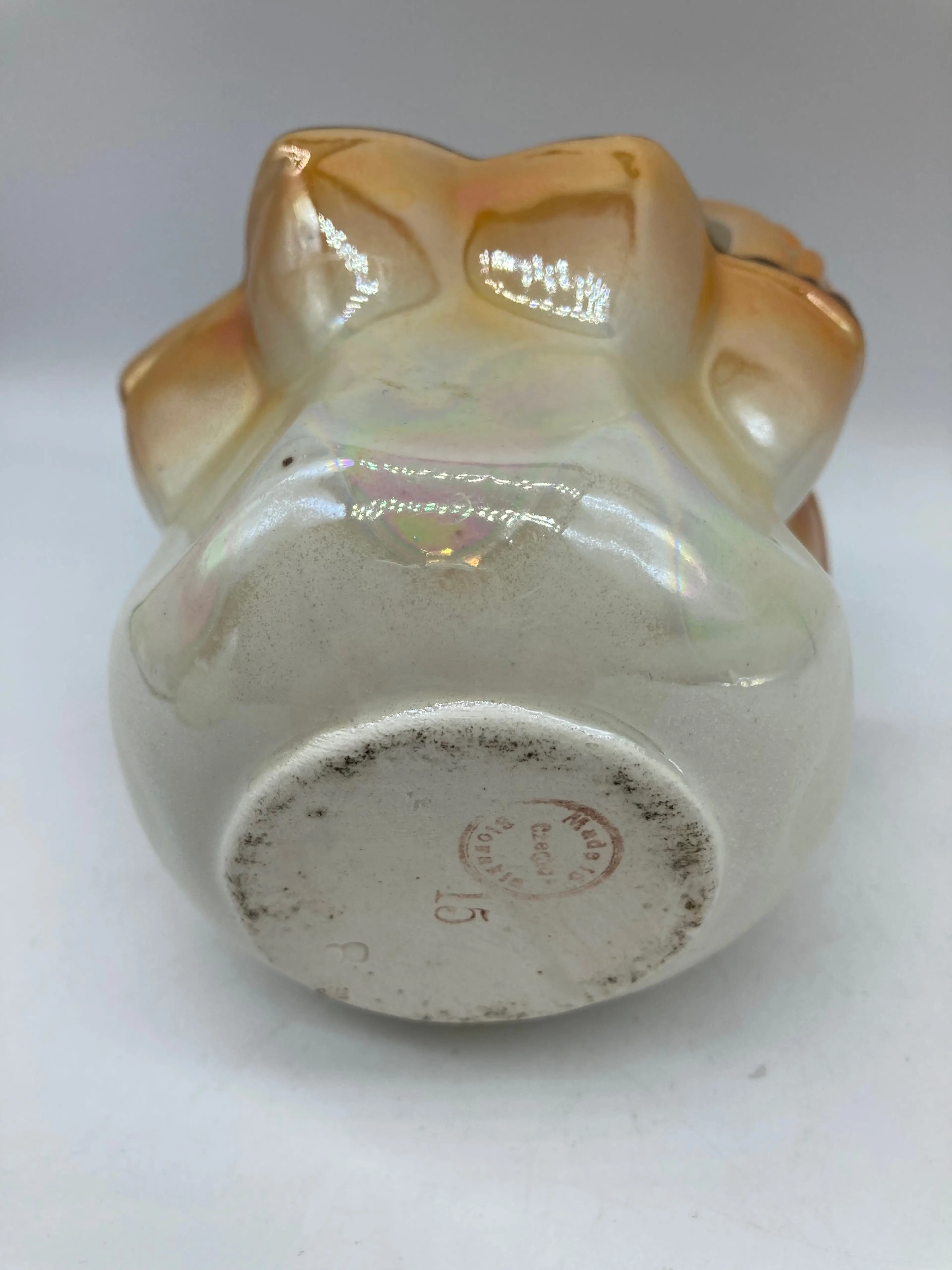 Image 5 of 5