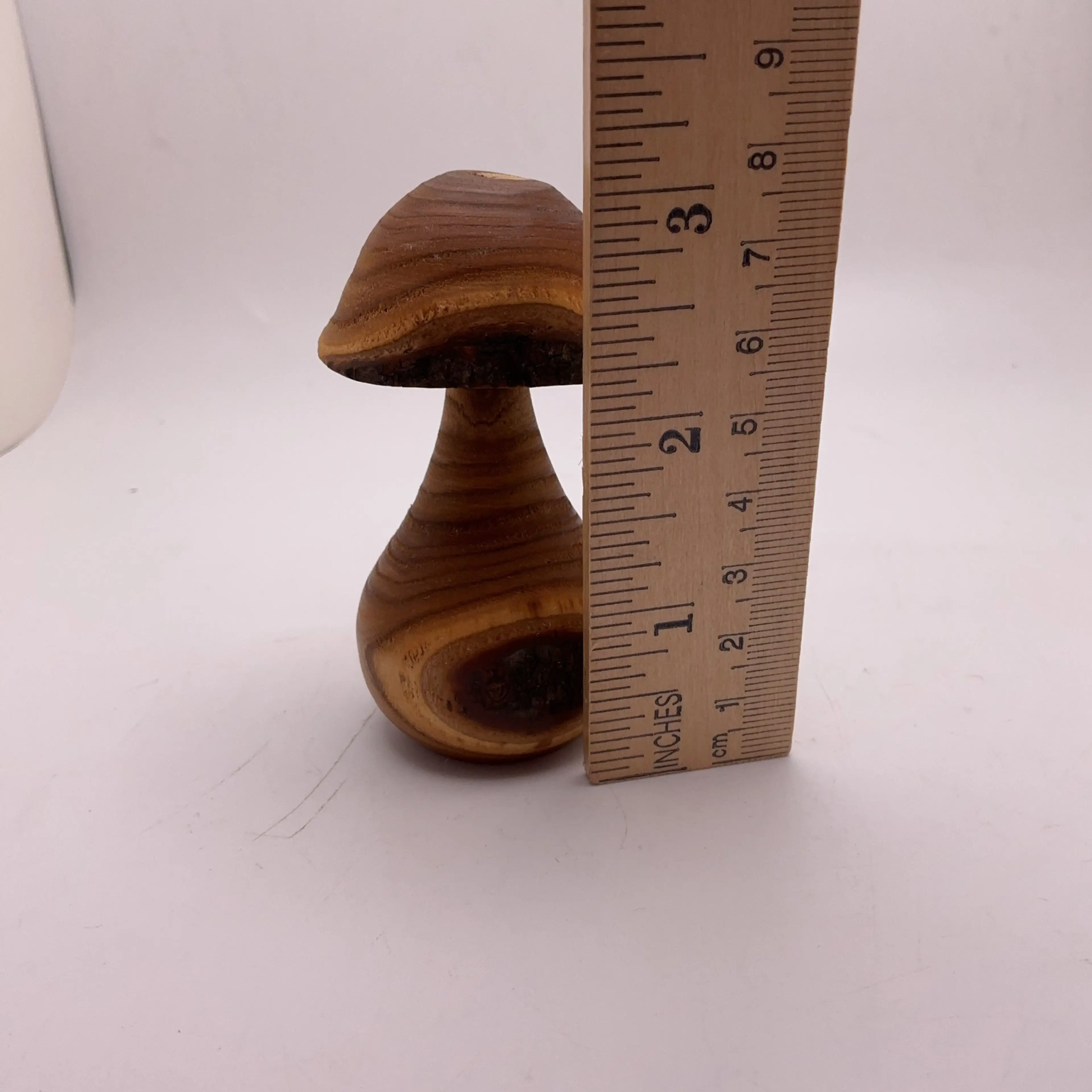 Image 5 of 5