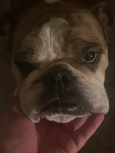 Rosey Invites You To The Friday Night Fun Show!!!
