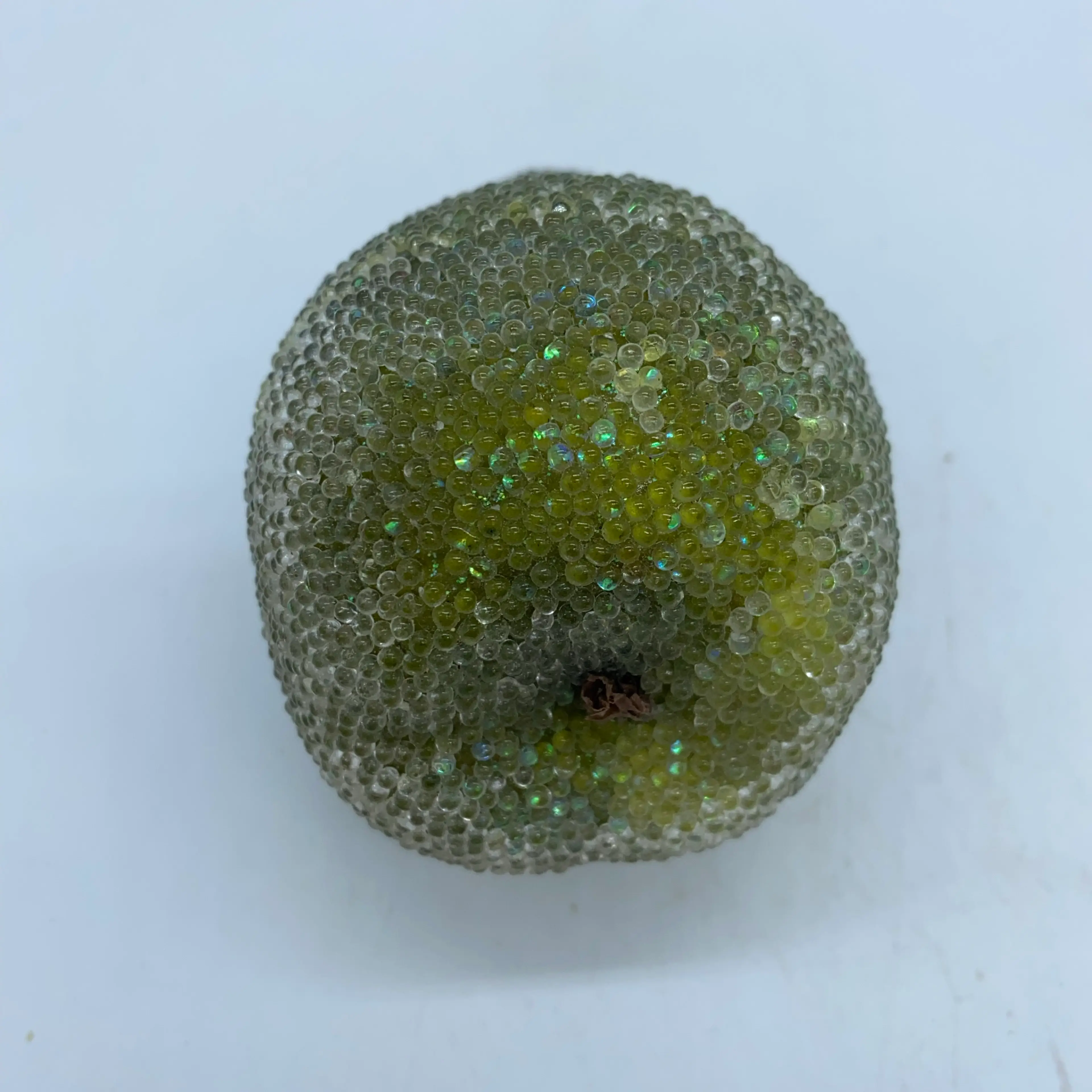 Image 5 of 5