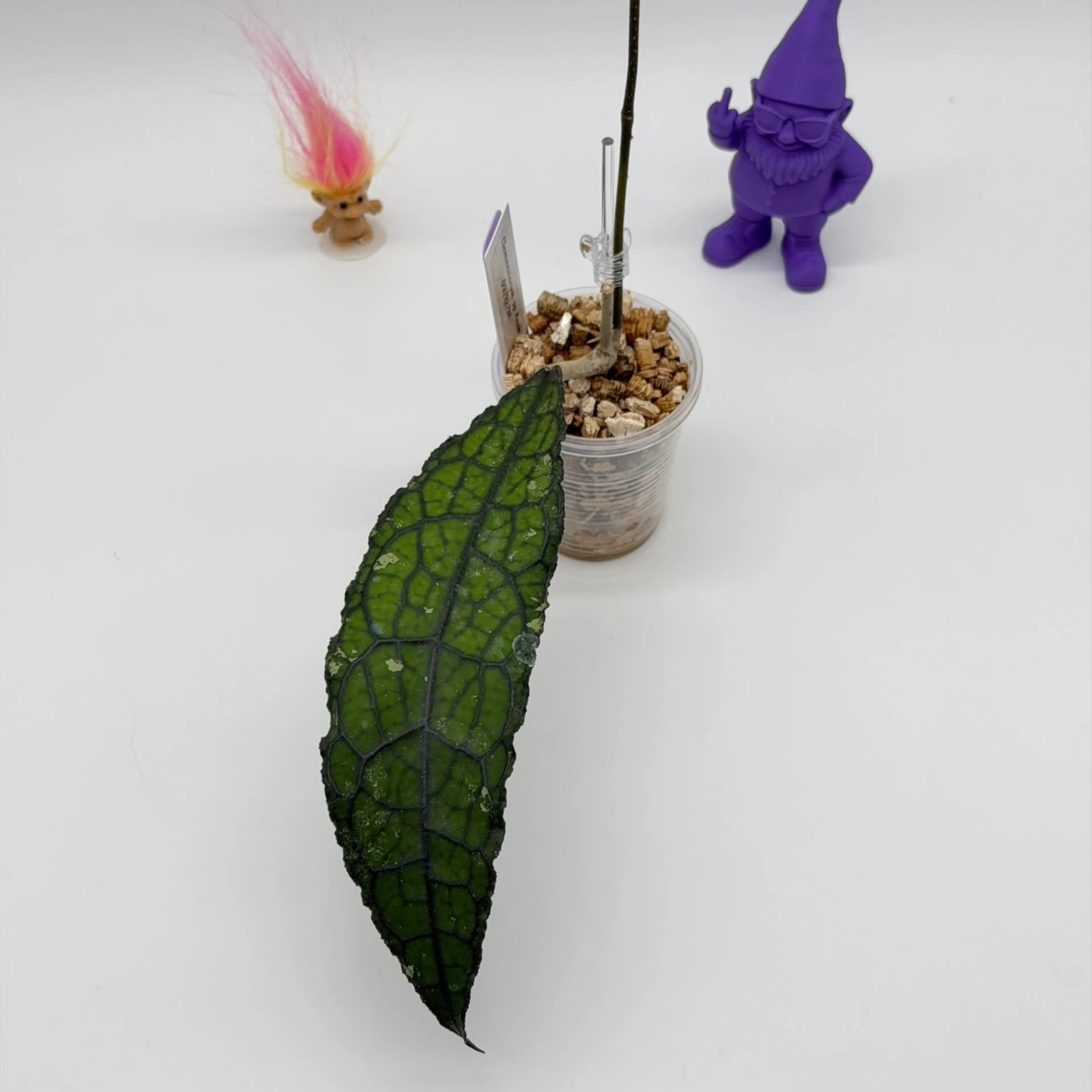 Image 3 of 3