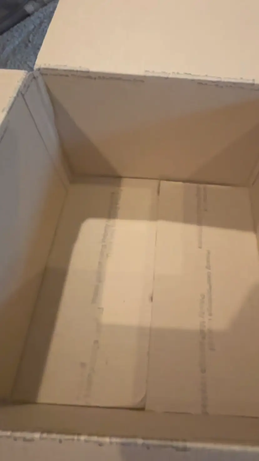 15+ Lb “Mystery” Ephemera Box