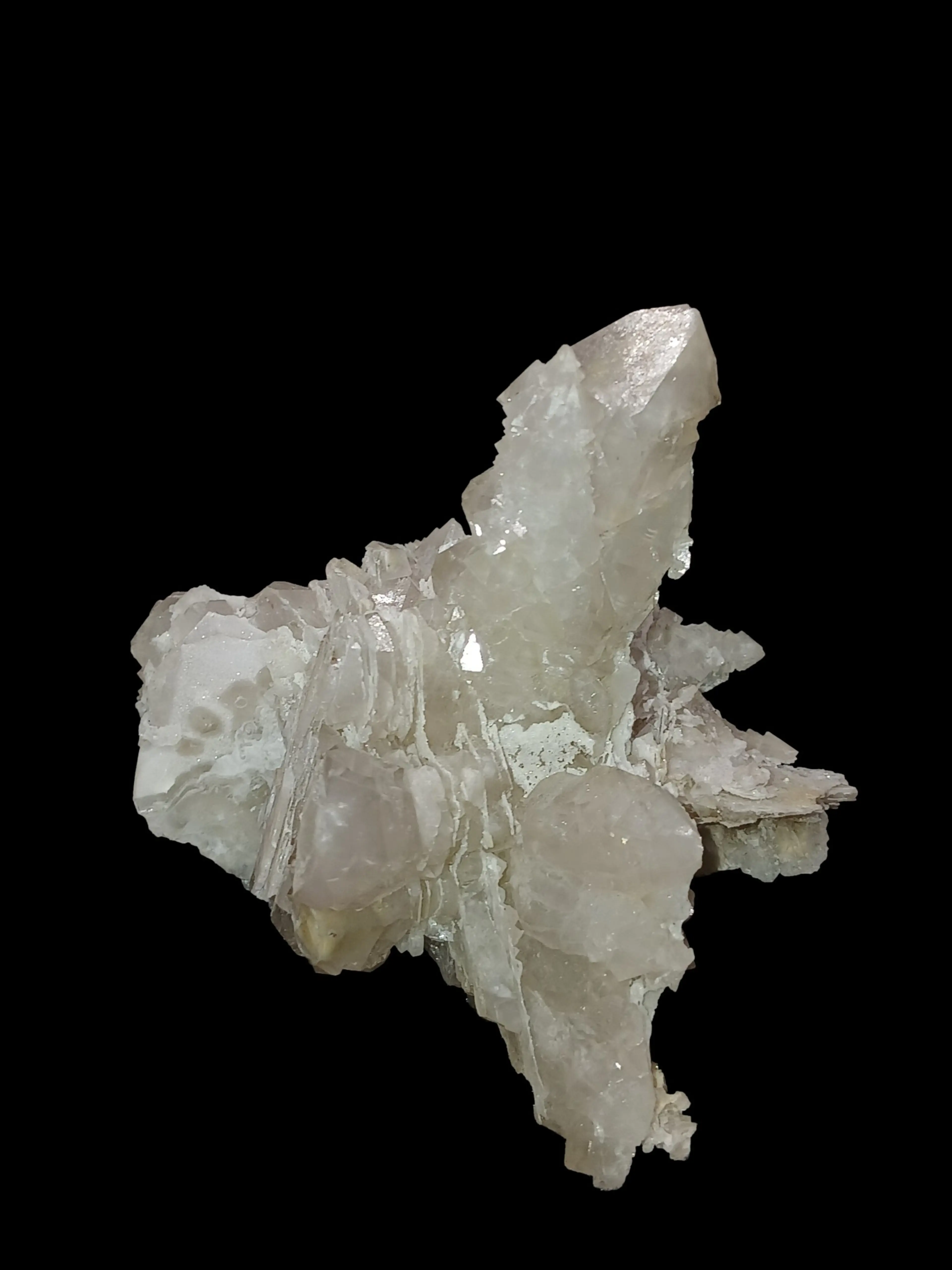 Image 4 of 5