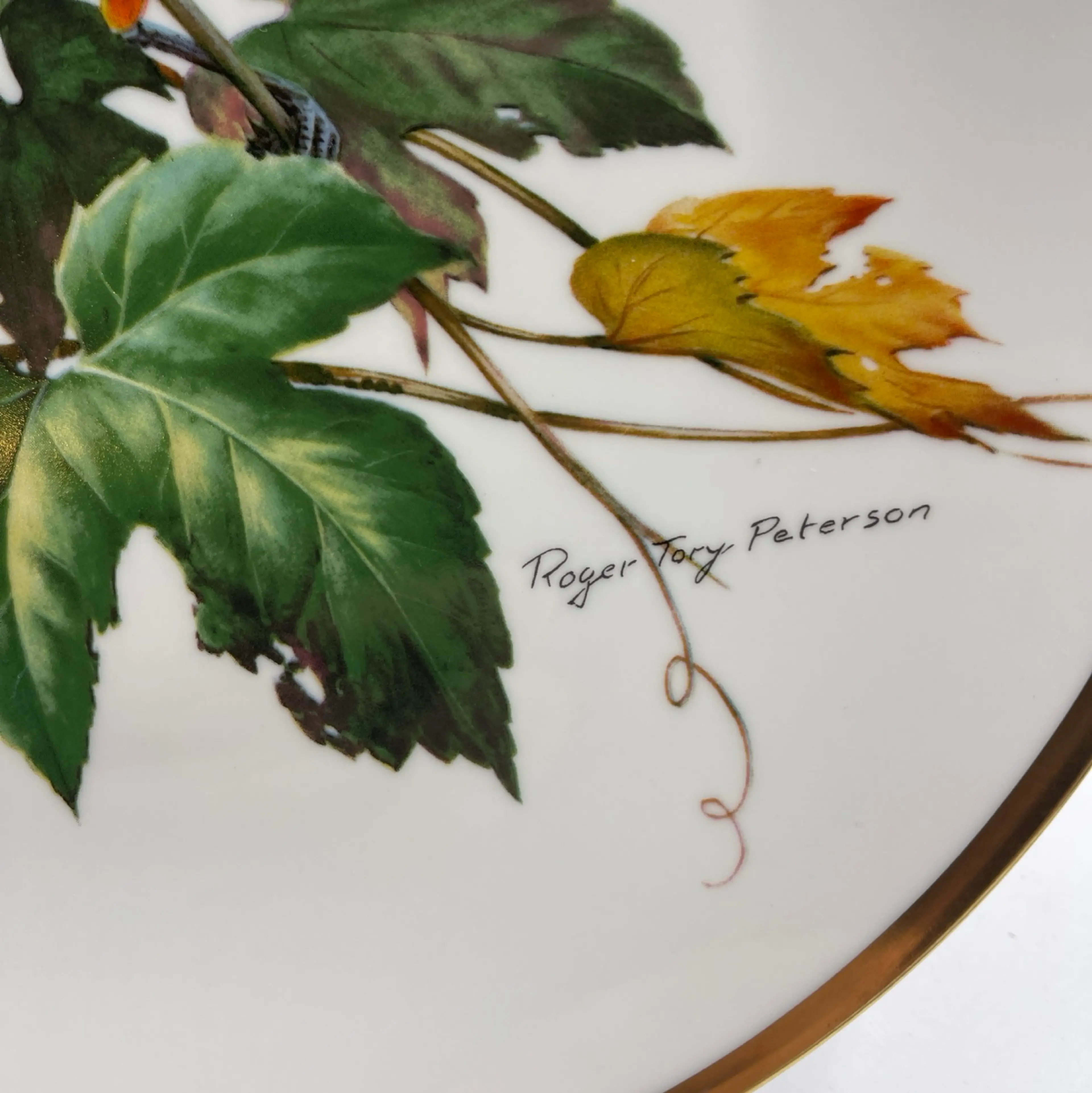 Image 4 of 7