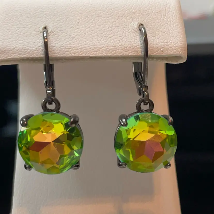 23 Watermelon Glass LOGO Brand Earrings