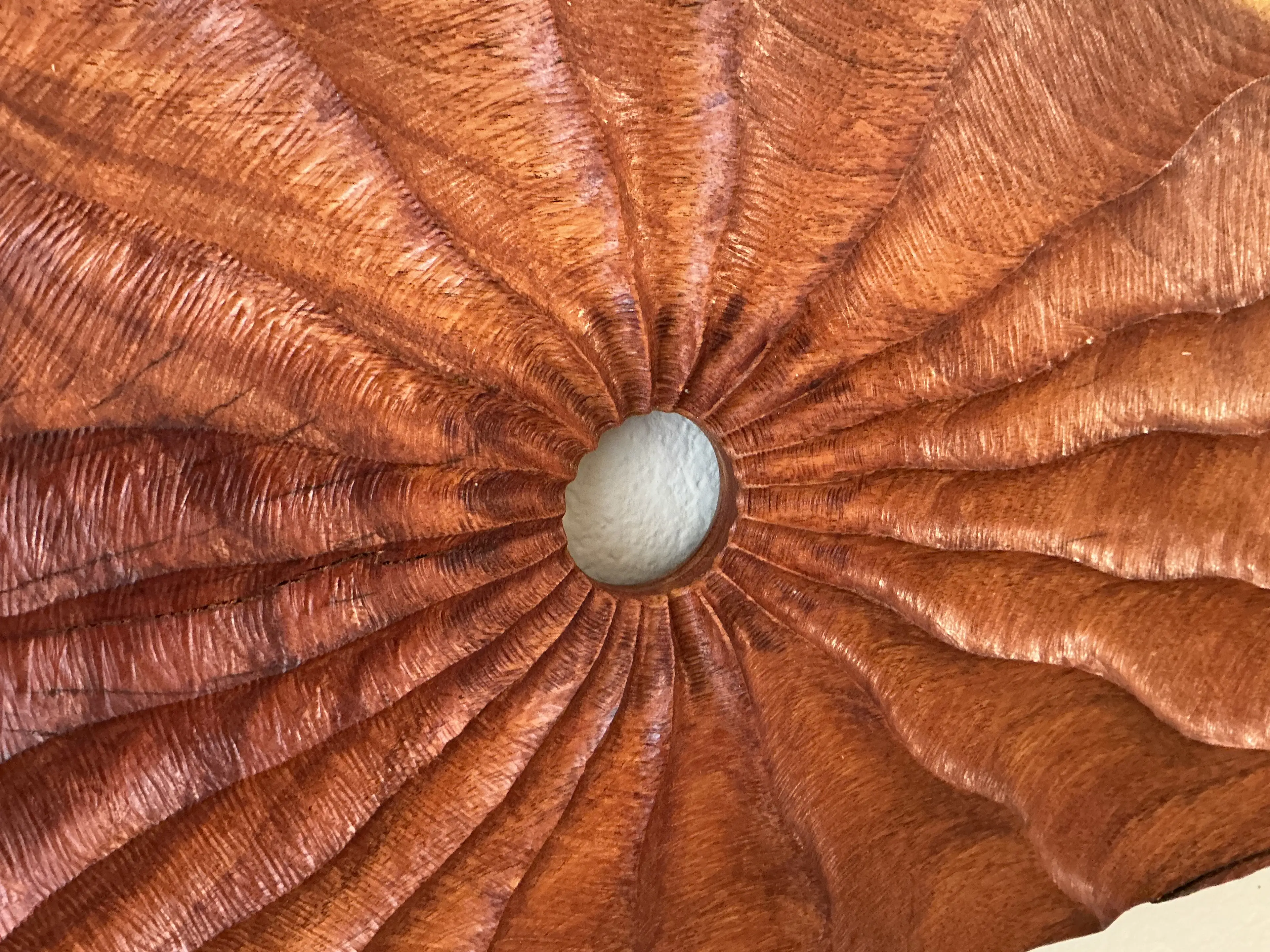Image 5 of 5