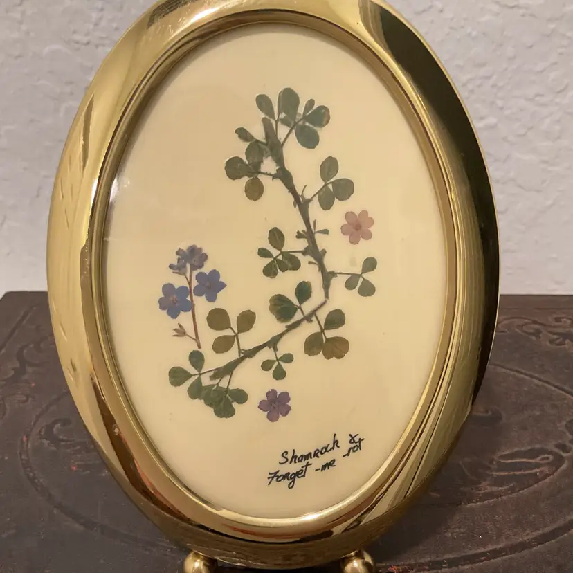 🎉6” Brass Oval Frame Shamrock ☘️ & Forget Me Not